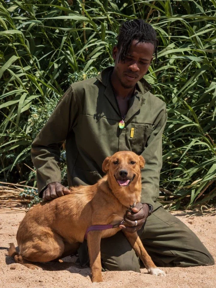 𝗠𝗲𝗲𝘁 𝗞𝗲𝗯𝗮𝗯 &amp; 𝗦𝗮𝘀𝗰𝗵𝗮 - 𝗮 𝗱𝘂𝗼 𝗼𝗳 𝗹𝗼𝘃𝗲 𝗮𝗻𝗱 𝗲𝗻𝗲𝗿𝗴𝘆 🐶🤎✨

Say hello to Kebab and Sascha, 10-month-old siblings with hearts full of joy and personalities that will instantly make you smile! 🐾💛

These playful pups ar