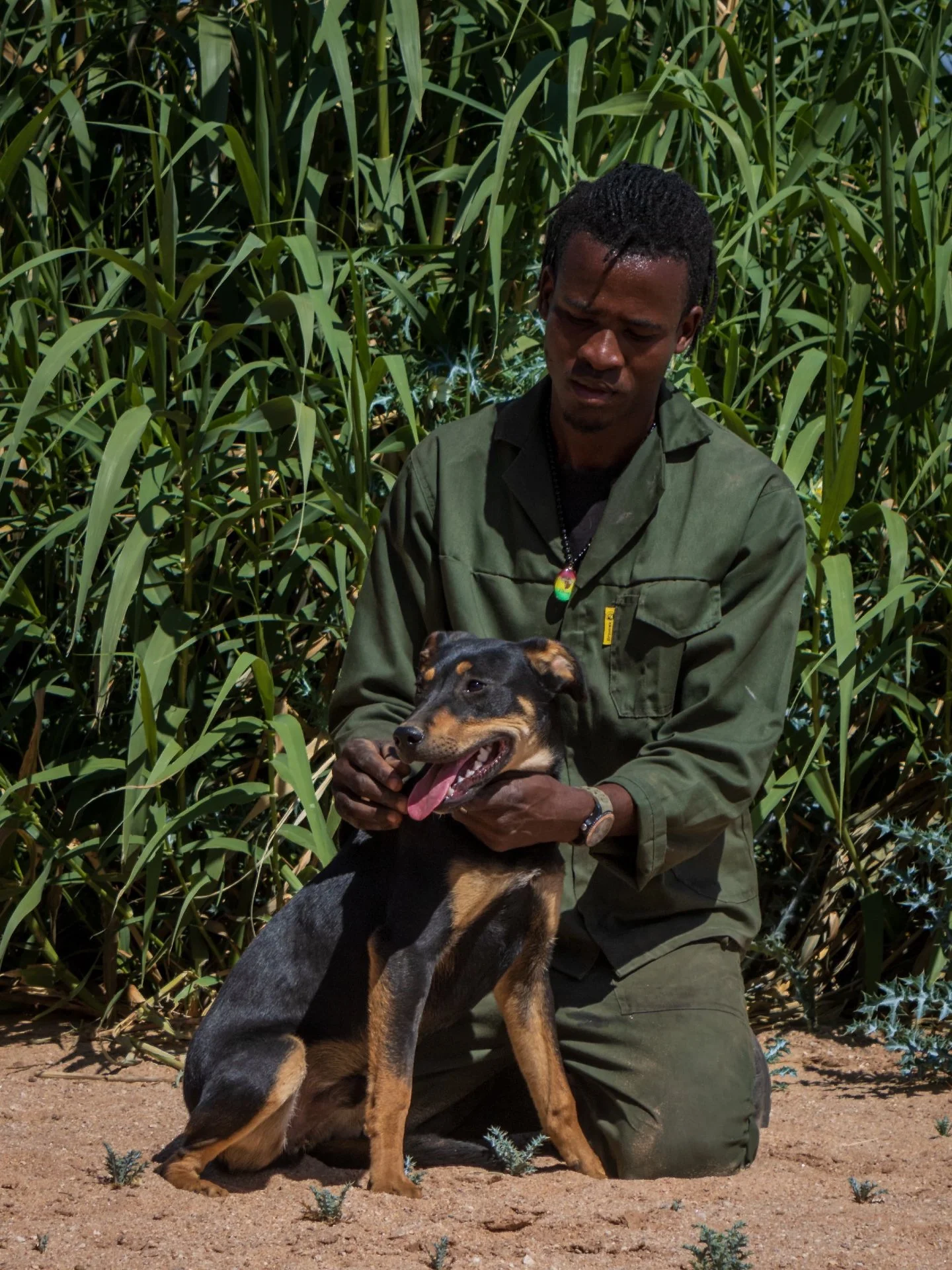 𝗠𝗲𝗲𝘁 𝗖𝗼𝗱𝘆 🐾
Cody is a curious, joyful 8-month-old pup bursting with energy and charm! 🐶✨ Every day is an adventure for him - whether he&rsquo;s exploring, learning new things, or curling up for a snuggle after a fun play session, Cody appro