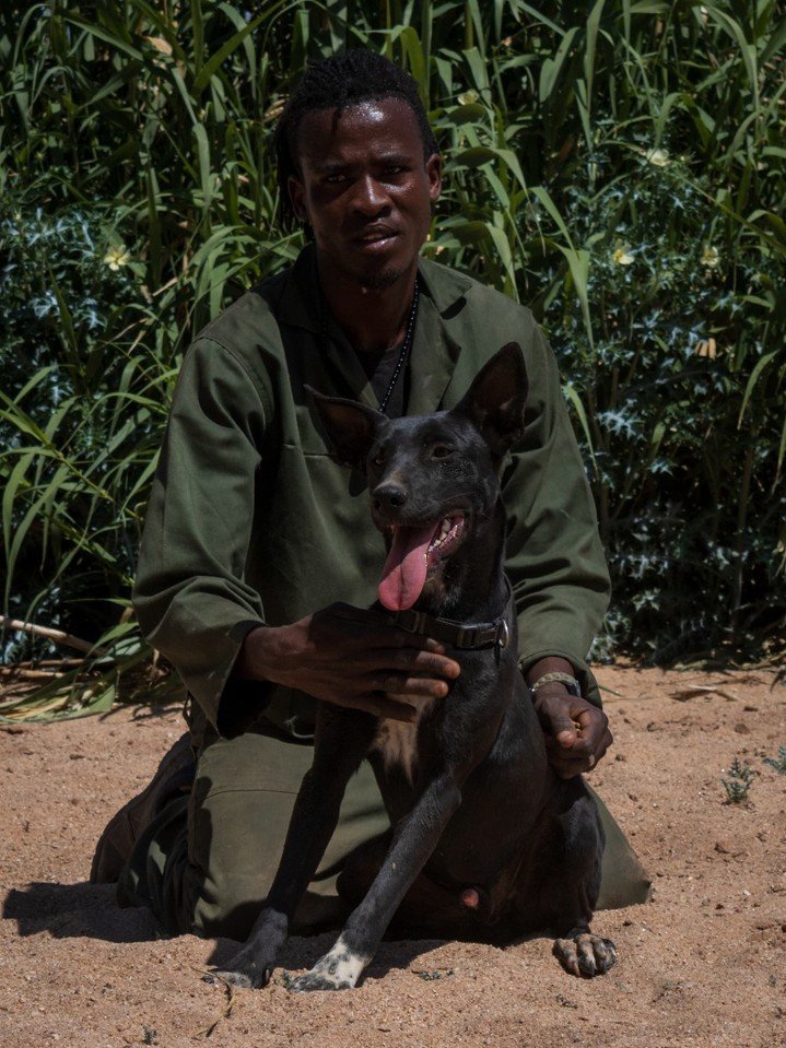 𝗖𝗼𝗮𝗹 𝗶𝘀 𝗮 𝗹𝗶𝘃𝗲𝗹𝘆, 𝗽𝗹𝗮𝘆𝗳𝘂𝗹 𝗽𝘂𝗽 𝘄𝗶𝘁𝗵 𝗮 𝘀𝗼𝗳𝘁 𝗯𝗹𝗮𝗰𝗸 𝗰𝗼𝗮𝘁 𝗮𝗻𝗱 𝗮 𝗯𝗶𝗴 𝗵𝗲𝗮𝗿𝘁. 🖤 

Coal is a lively little soul with a soft black coat and a heart even bigger than his energy! 🐶✨
He&rsquo;s full of affect