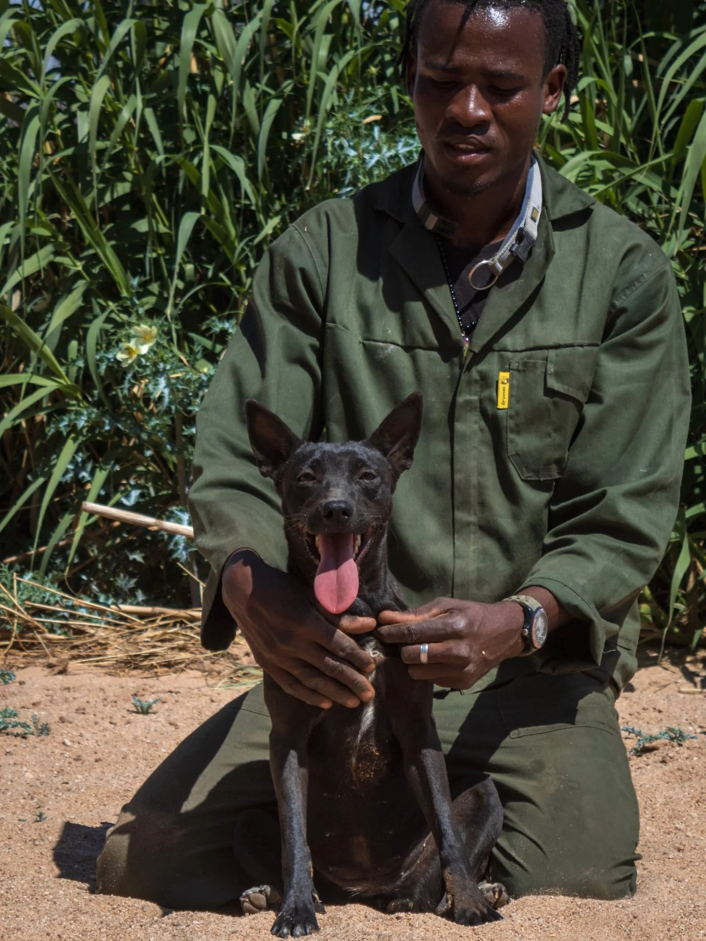 𝗠𝗲𝗲𝘁 𝗠𝗶𝗺𝗶! 🐾
Mimi is a sweet, gentle little soul with a big heart. At <1 year old and small in size, she&rsquo;s the perfect lap companion - spunky, goofy, and always ready for cuddles.

She&rsquo;s looking for a loving home where she can