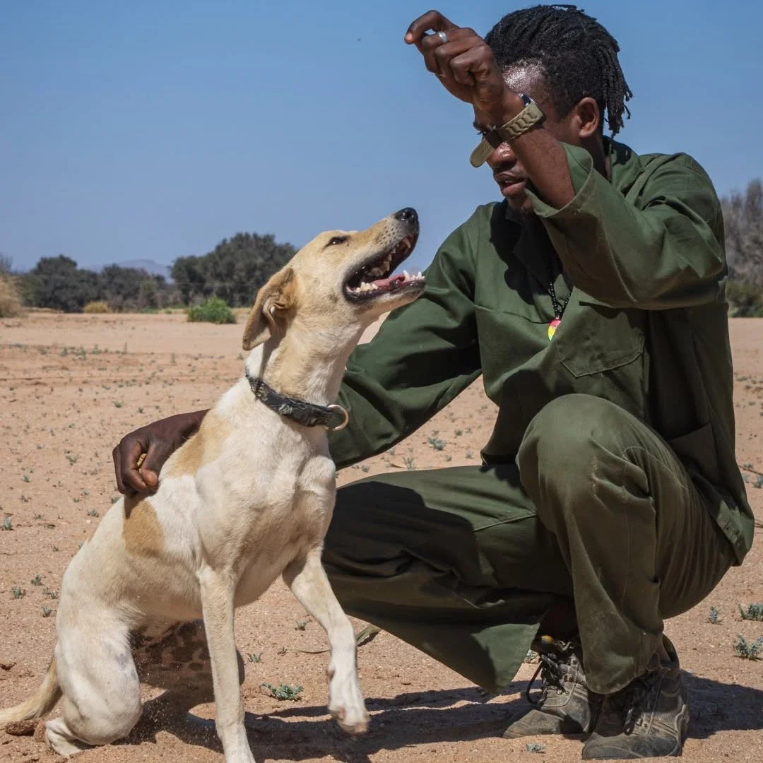 𝗟𝘂𝗻𝗮 &amp; 𝗖𝗹𝗼𝘃𝗲𝗿 - 𝗱𝗼𝘂𝗯𝗹𝗲 𝘁𝗵𝗲 𝘁𝗿𝗼𝘂𝗯𝗹𝗲, 𝗱𝗼𝘂𝗯𝗹𝗲 𝘁𝗵𝗲 𝗹𝗼𝘃𝗲 🌙🍀
(1&ndash;2 𝘺𝘦𝘢𝘳 𝘰𝘭𝘥 𝘴𝘪𝘴𝘵𝘦𝘳𝘴, 𝘣𝘰𝘯𝘥𝘦𝘥 𝘢𝘯𝘥 𝘣𝘦𝘢𝘶𝘵𝘪𝘧𝘶𝘭)

Luna and Clover are beautiful young sisters who both find themselv