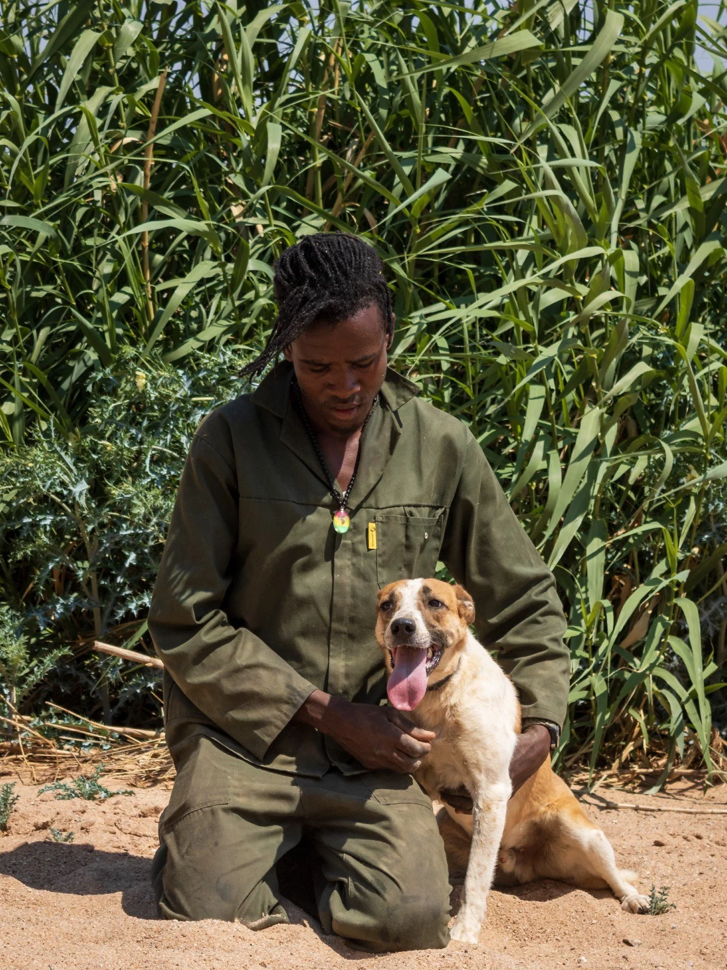 𝗛𝗶, 𝗜&rsquo;𝗺 𝗧𝘂𝗰𝗸𝗲𝗿 👋 

Some people think I might be a past farm dog, I&rsquo;m clever, energetic, focused and trainabl, but honestly, no one knows for sure. What we do know is that I love to run, explore and have a purpose, and I flouris