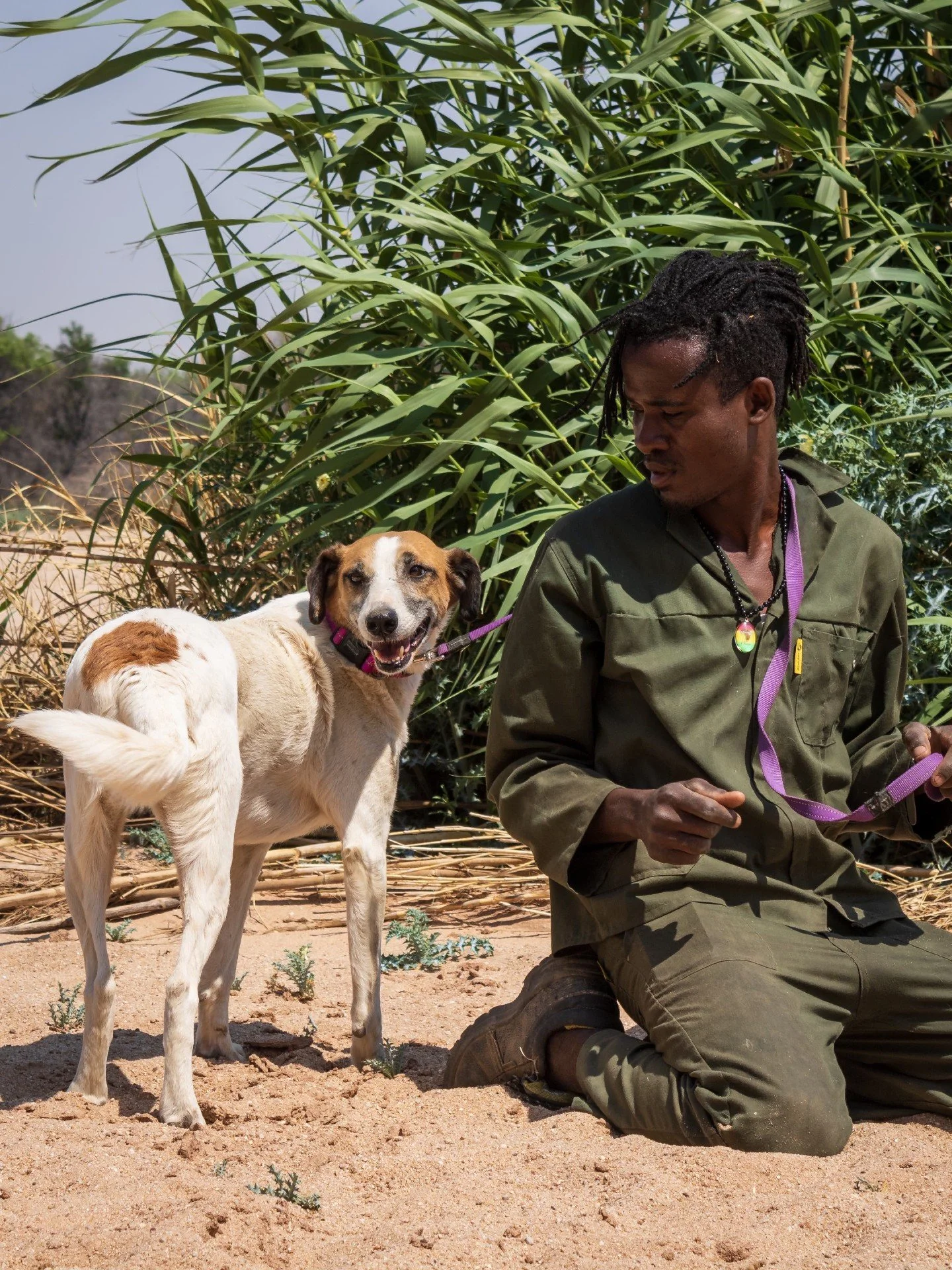𝗠𝗲𝗲𝘁 𝗕𝗲𝗻𝗷𝗶 &ndash; 𝘆𝗼𝘂𝗿 𝗻𝗲𝘄 𝗹𝗼𝘆𝗮𝗹 𝗰𝗼𝗺𝗽𝗮𝗻𝗶𝗼𝗻! ❤️
Benji is a lovable 5-year-old boy who thrives on attention and affection. Always ready for cuddles and snuggles, his playful spirit and joyful personality are sure to keep 