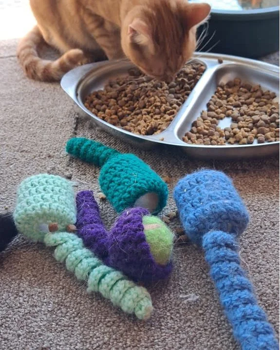 𝗛𝗮𝗻𝗱𝗺𝗮𝗱𝗲 𝘄𝗶𝘁𝗵 𝘀𝗼 𝗺𝘂𝗰𝗵 𝗹𝗼𝘃𝗲 🧶🤍

A huge thank you to the Wool Caf&eacute; in Swakop and their lovely community for their wonderful donation of a bag of crocheted toys for our cats and kittens at The ARK Rescue.

You can truly se