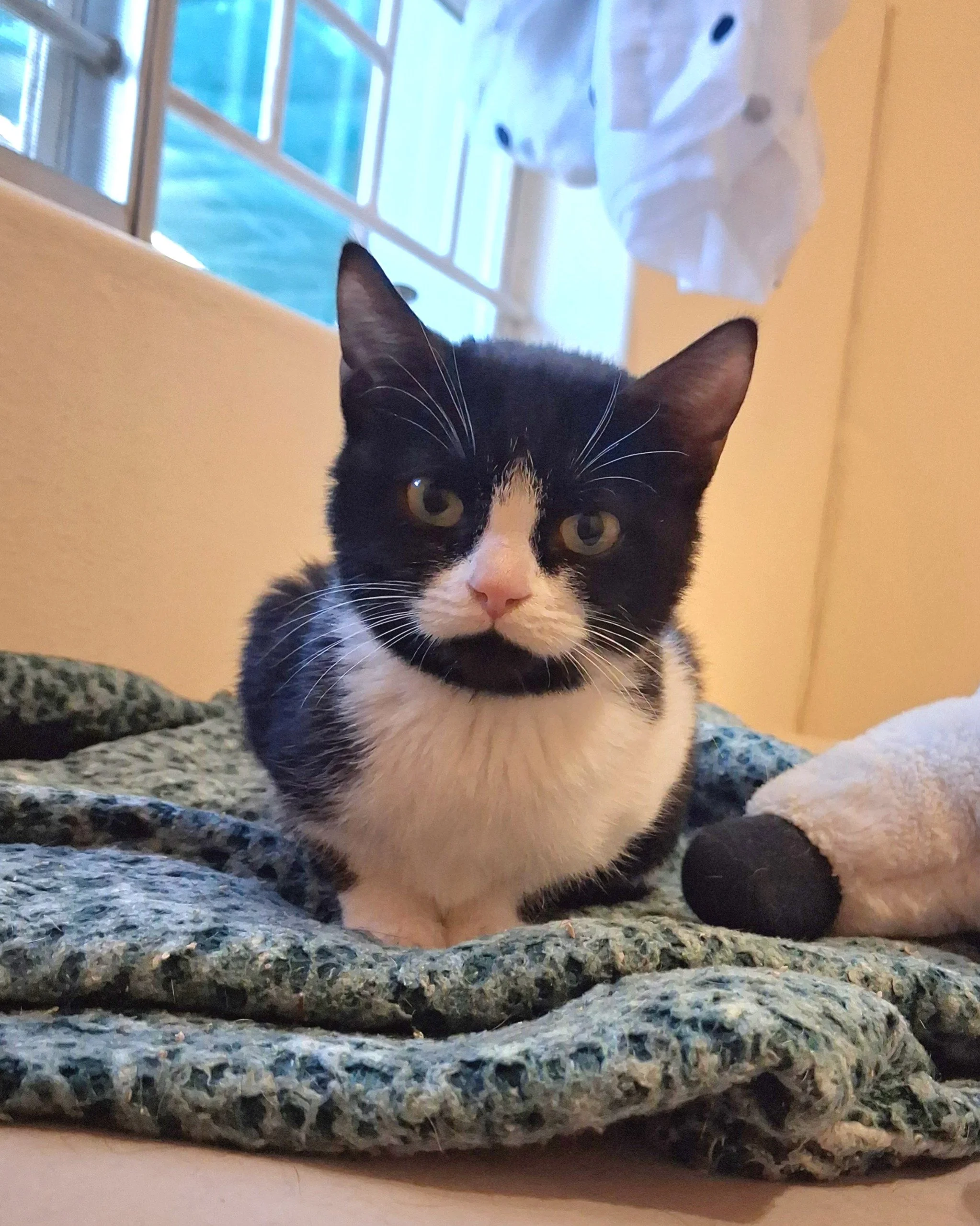 Kiki