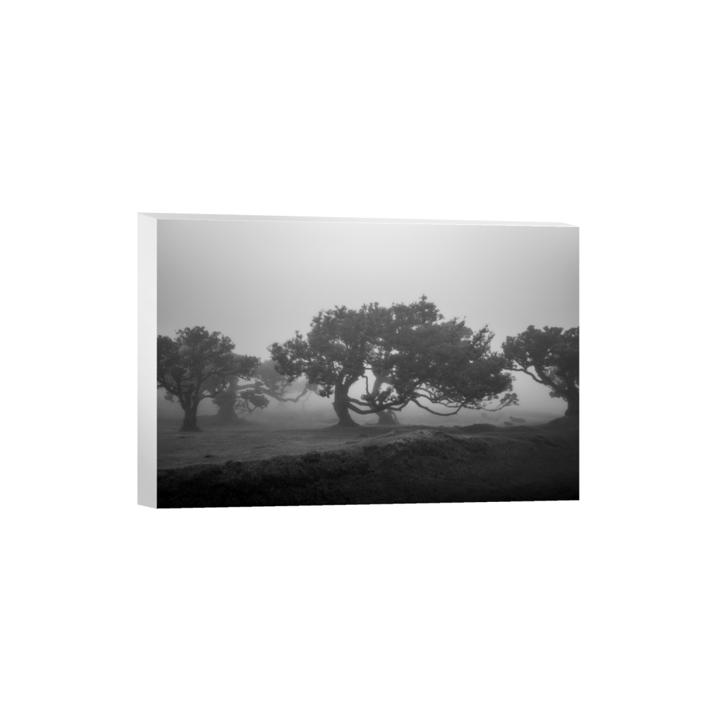ptq_7_3_0_0_4200_2800_0_false_ffffff_0_0_.png