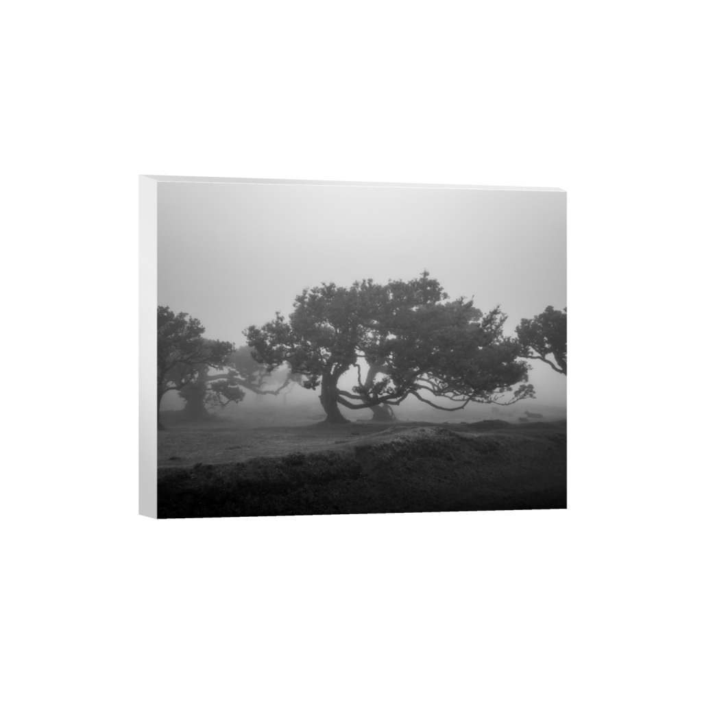 ptq_7_6_350_0_3500_2800_0_false_ffffff_0_0_.png