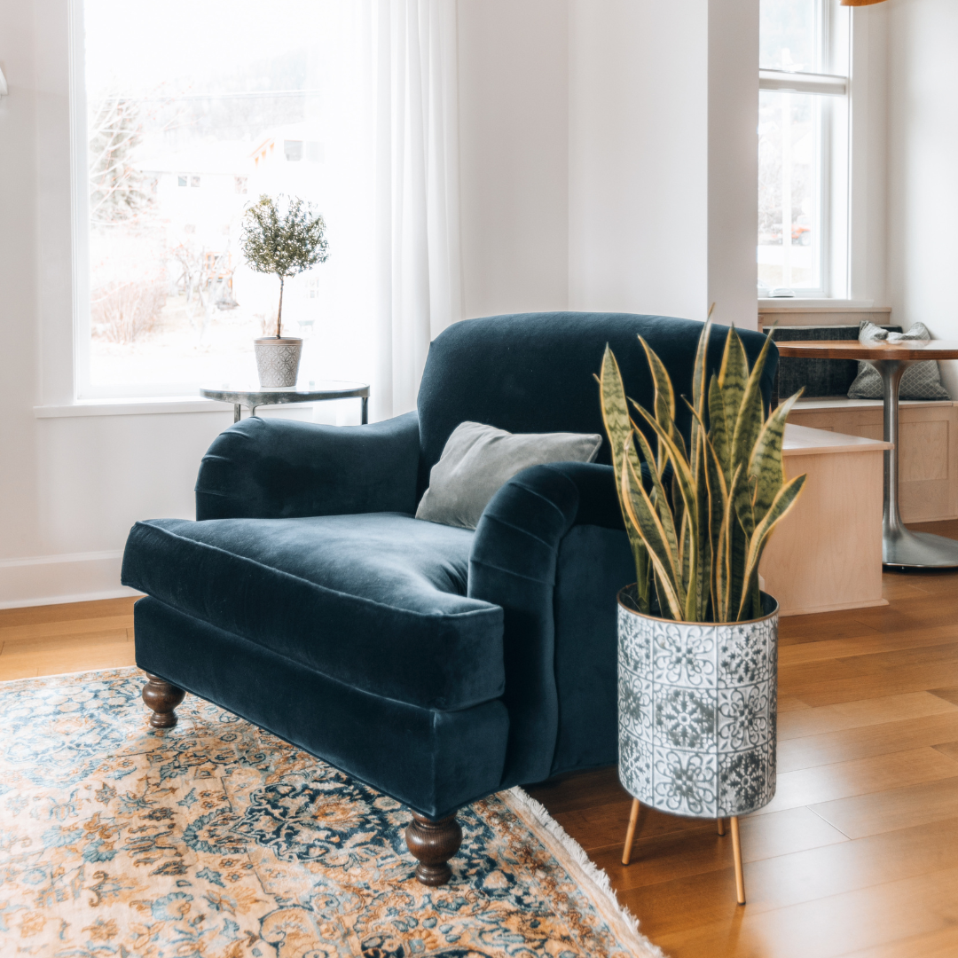 A cozy living room scene featuring a dark blue velvet armchair with a throw pillow, a potted plant in a decorative planter on a wooden floor, and a colorful patterned area rug. Large windows with white curtains allow natural light to fill the space.