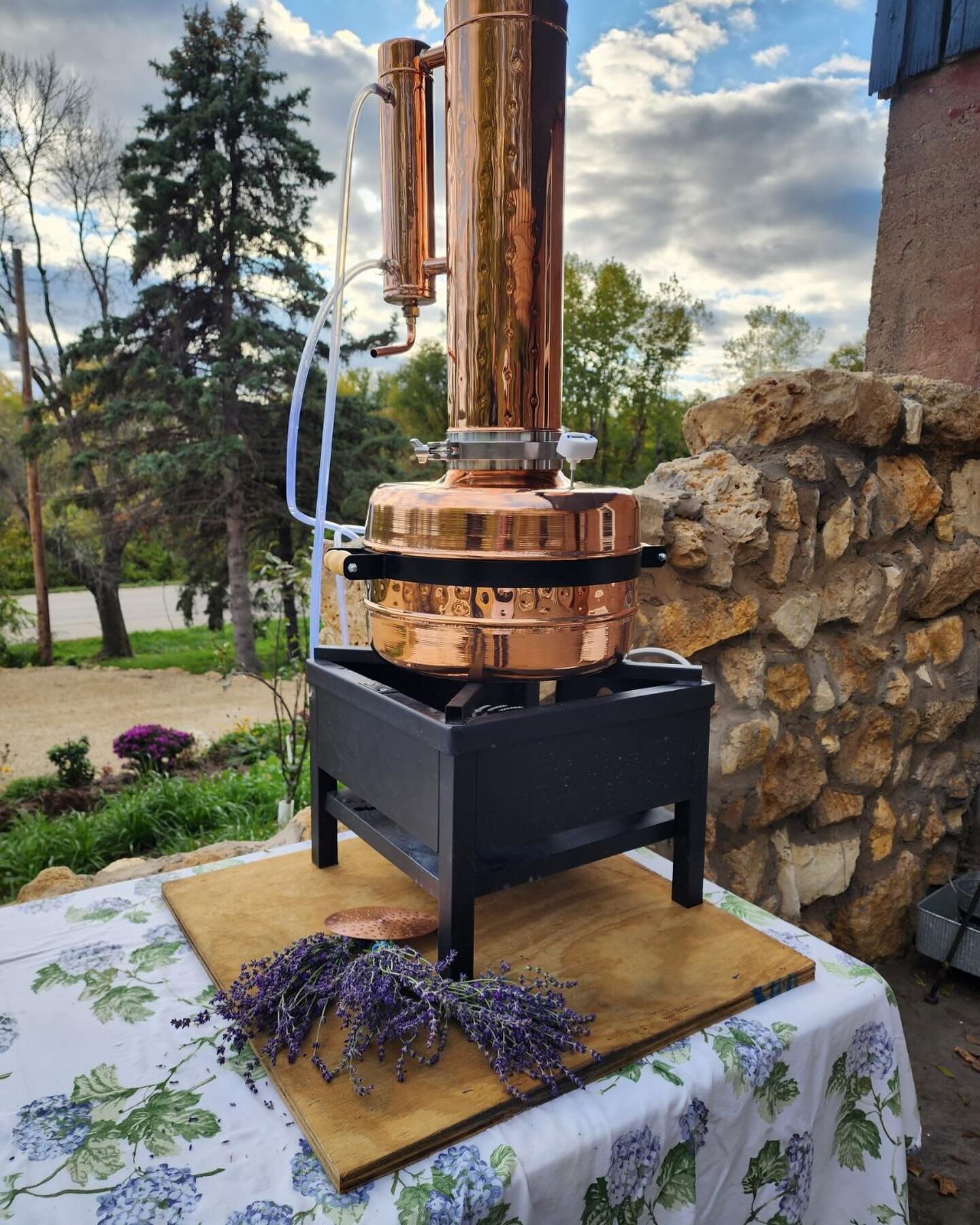 Our new still is ready for action.  Stop by this weekend to learn about our lavender distilling process.  And, as long as we don&rsquo;t have a hard frost on the fields, we have opened up UPick reservations for the rest of the season.  Book your spot