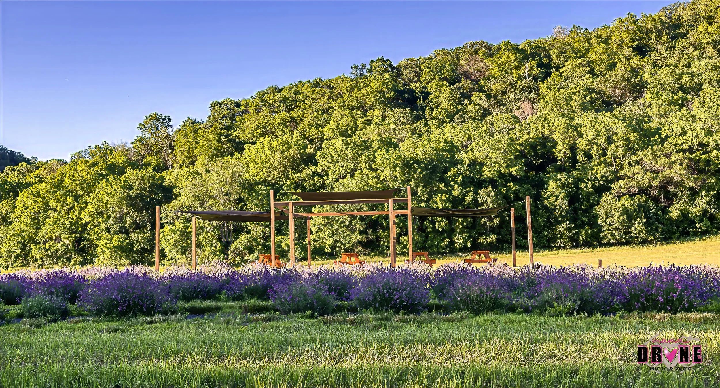 Pergola, field and hill, lavender  photo by: Mama Drone.jpg