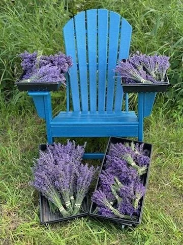 Chair and Lavender