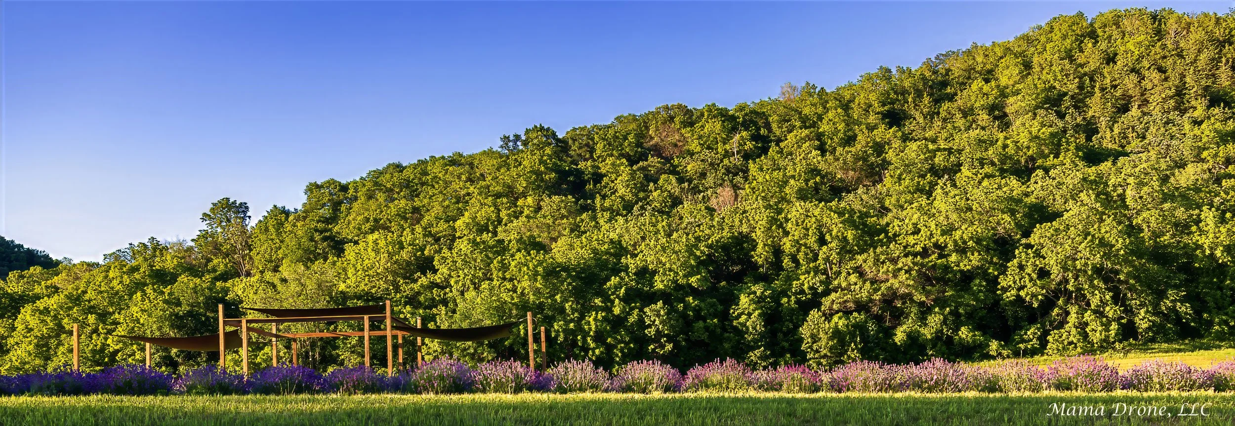 Pergola, hill, lavender photo by: Mama Drone.jpg