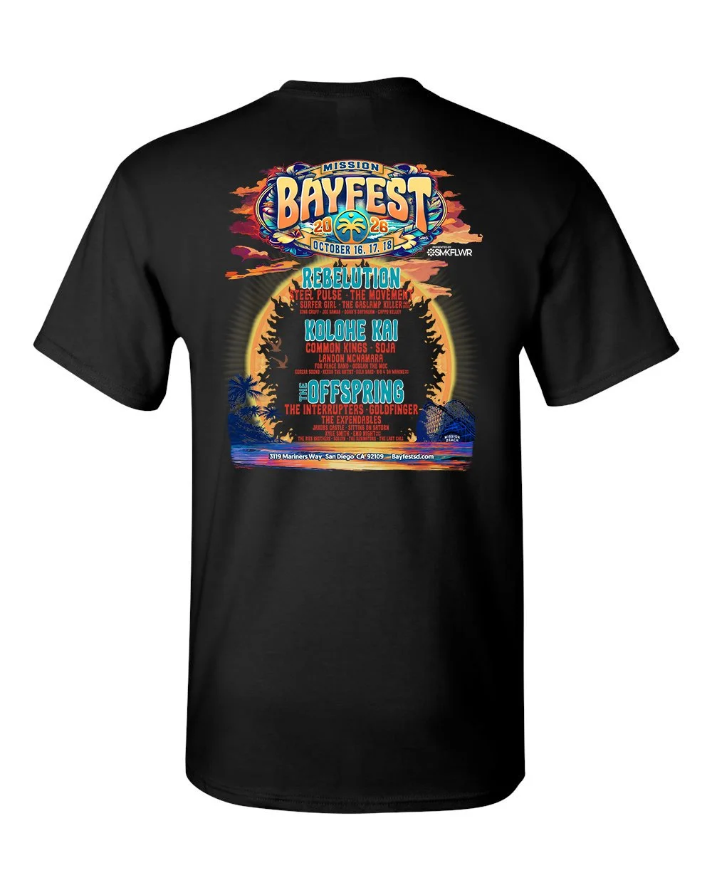 TShirtBlk back copy.jpg