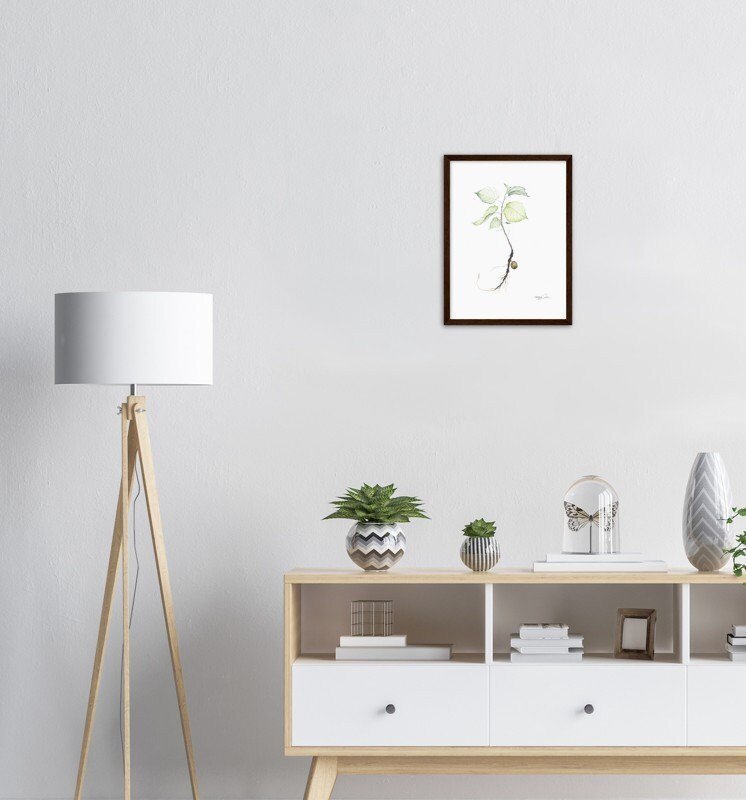 https://i.etsystatic.com/20501688/r/il/112c2f/4008324710/il_fullxfull.4008324710_mxoq.jpg