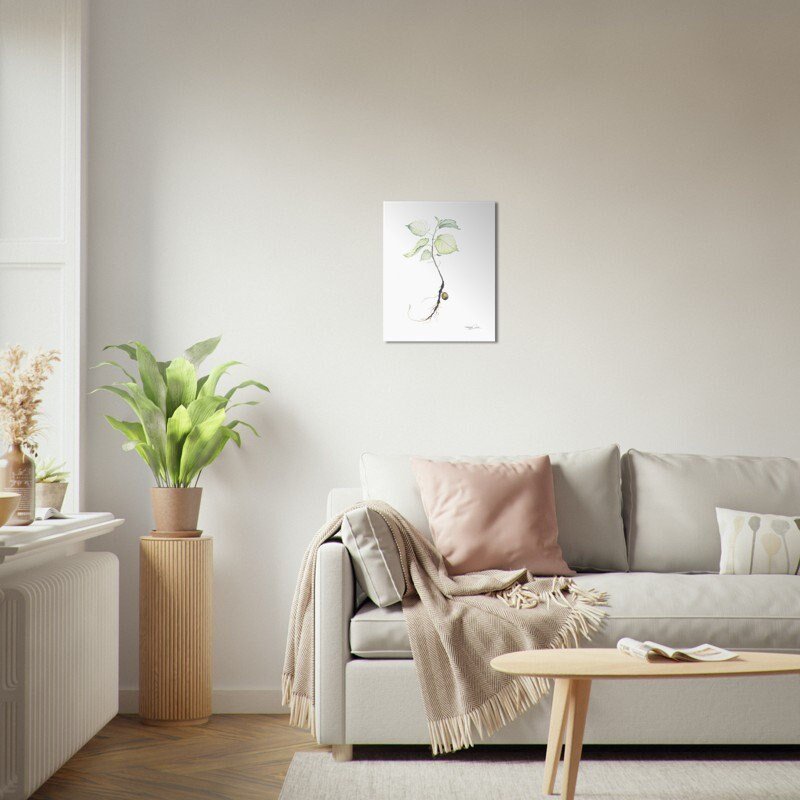 https://i.etsystatic.com/20501688/r/il/b9aaeb/3708373618/il_fullxfull.3708373618_3acb.jpg