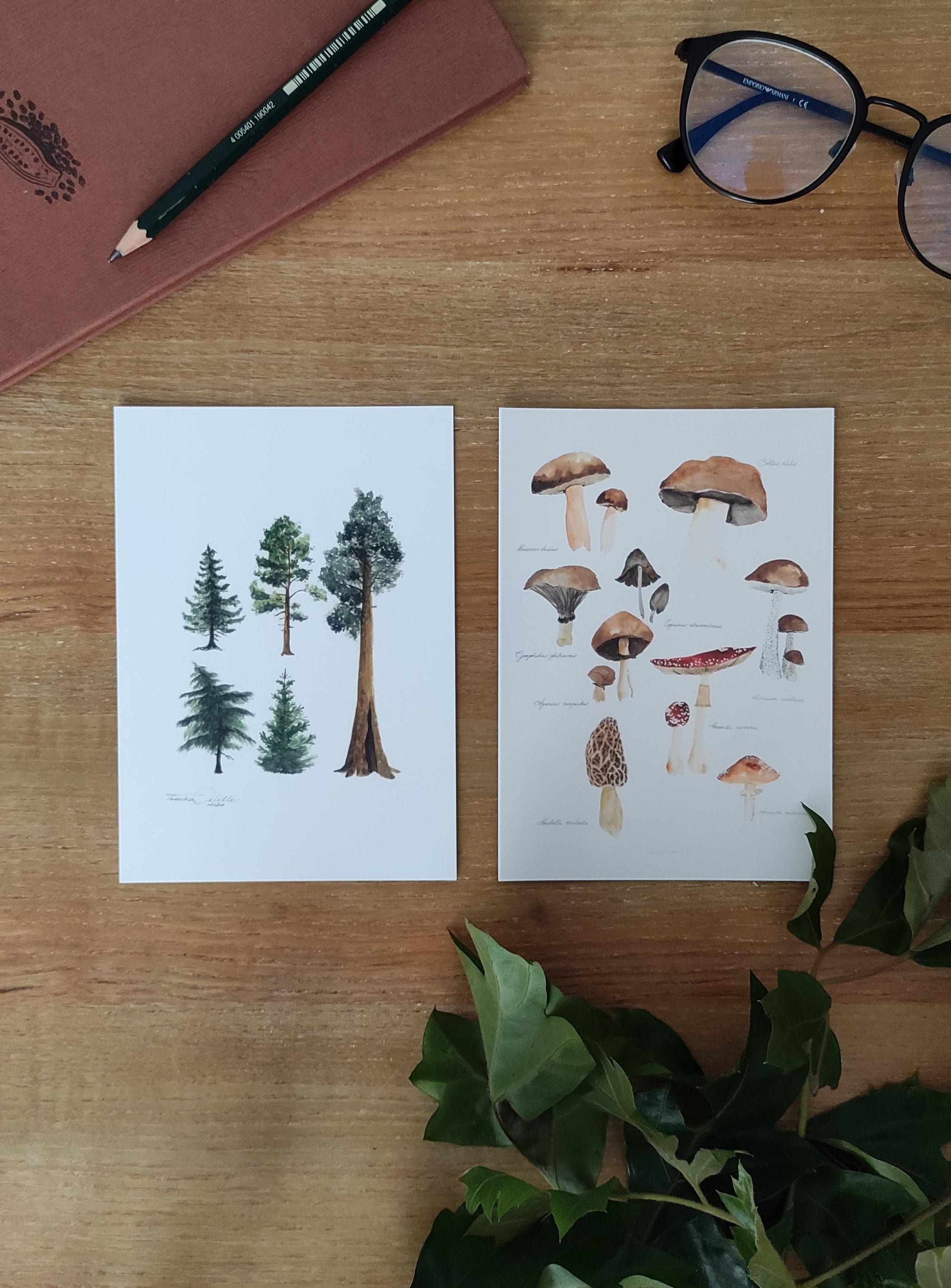 https://i.etsystatic.com/20501688/r/il/d78fd3/3251941639/il_fullxfull.3251941639_s5oz.jpg