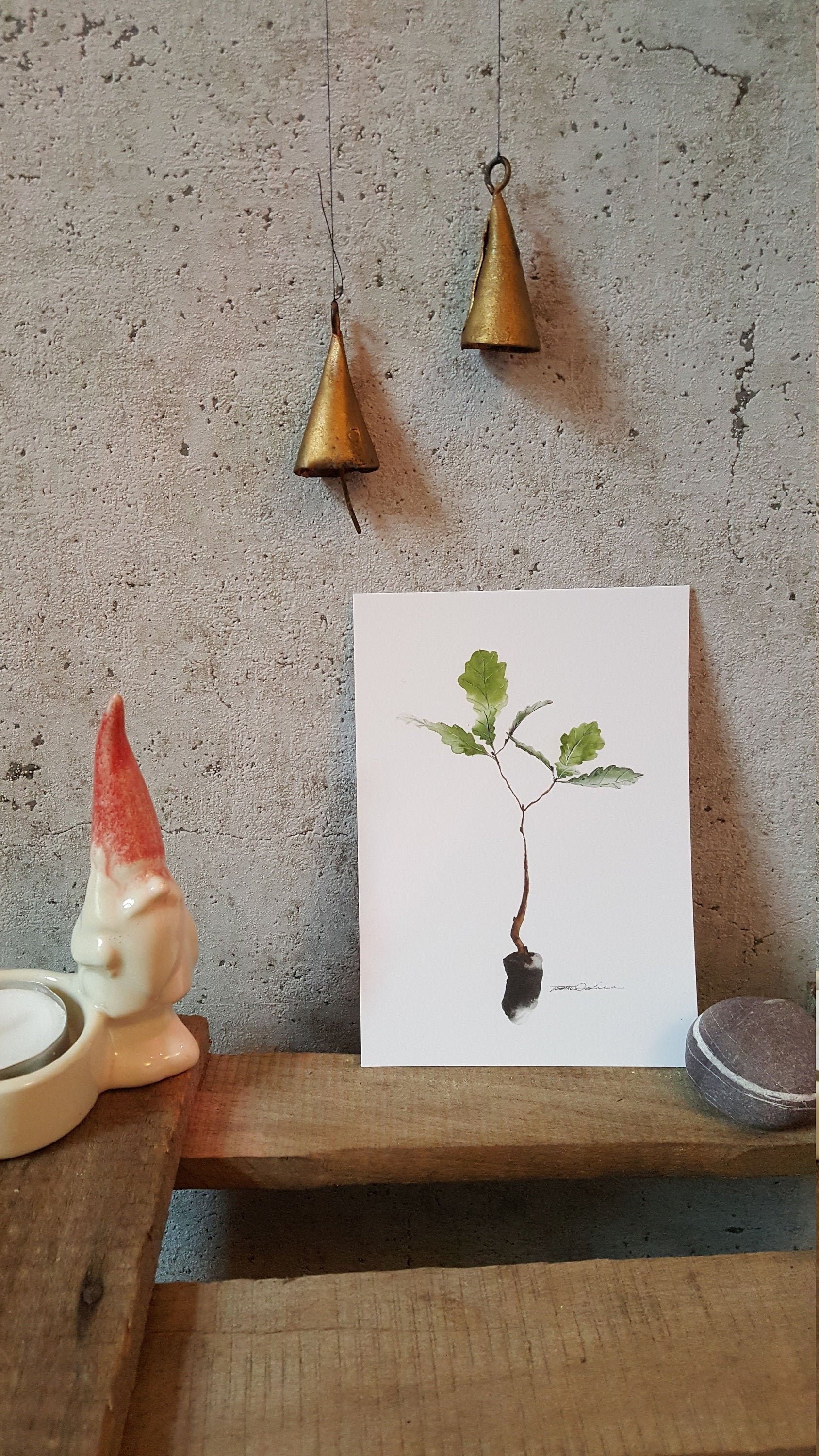 https://i.etsystatic.com/20501688/r/il/6185c9/2117247496/il_fullxfull.2117247496_8od0.jpg