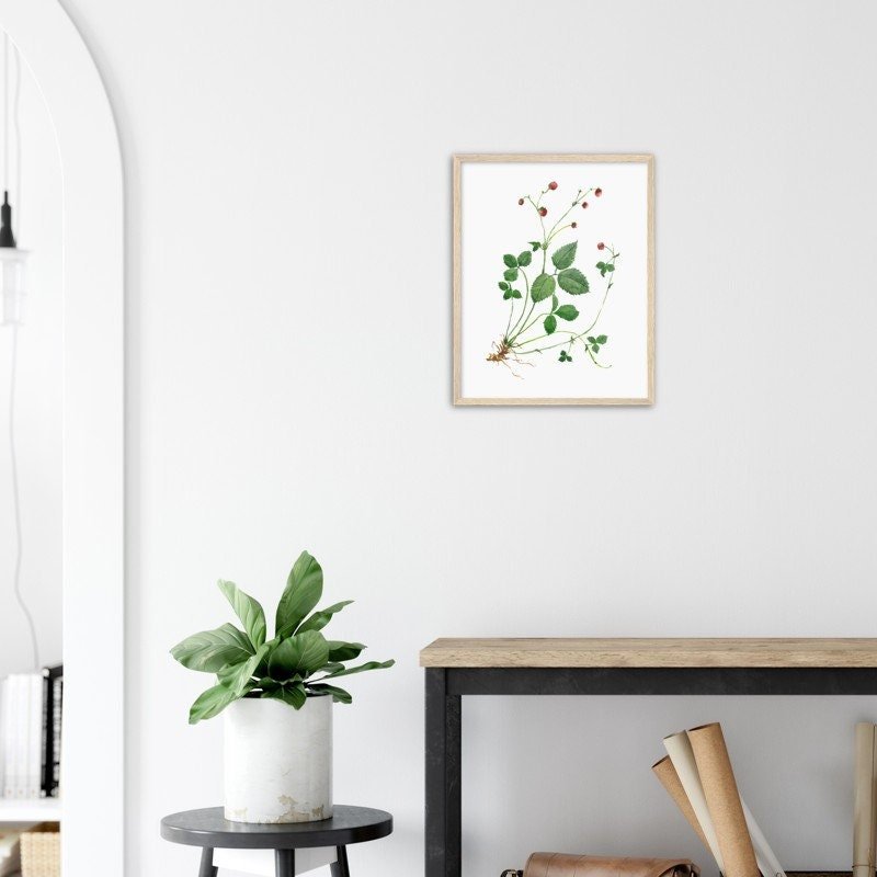 https://i.etsystatic.com/20501688/r/il/9f274c/4087862405/il_fullxfull.4087862405_3a4a.jpg