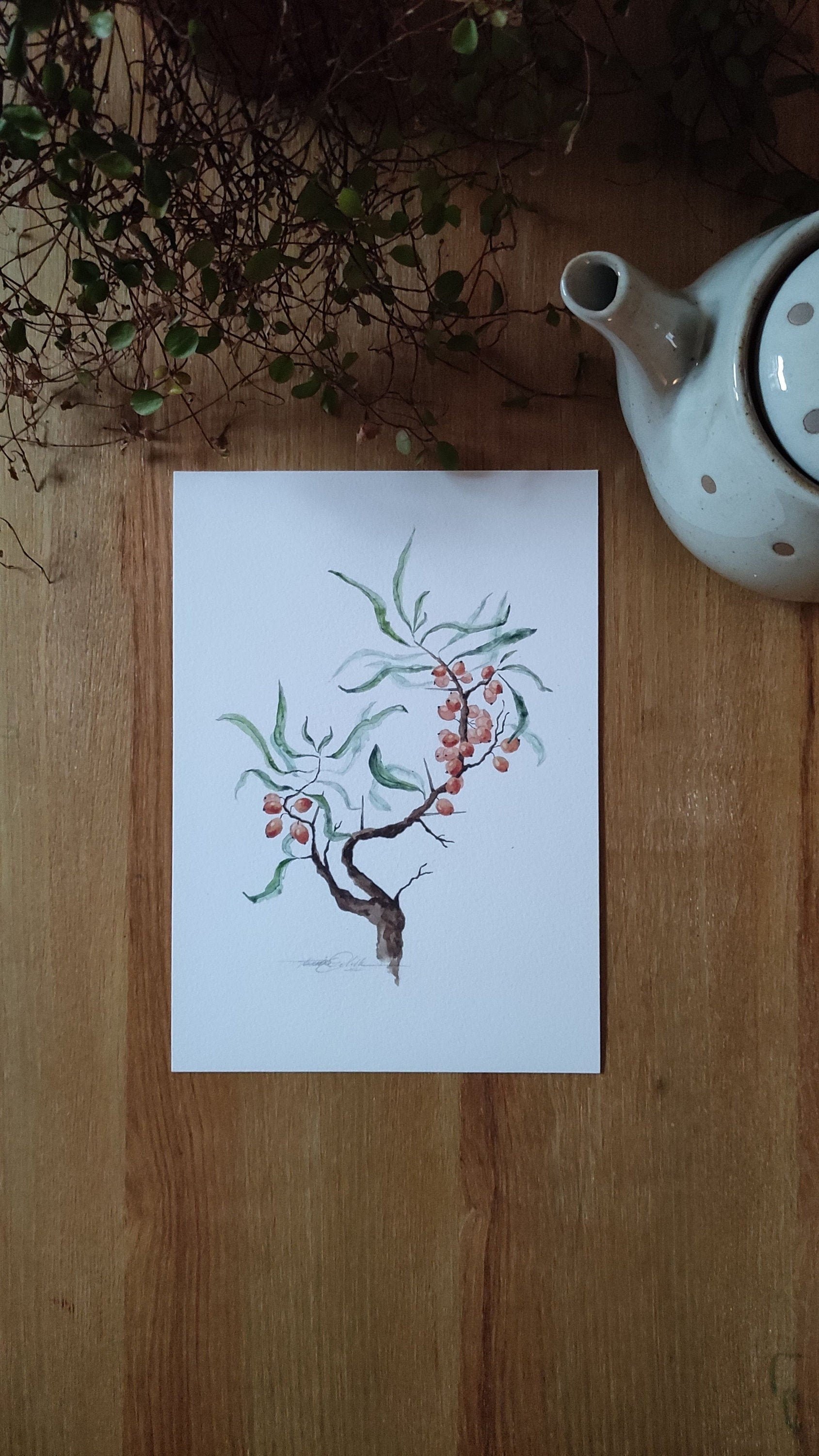 https://i.etsystatic.com/20501688/r/il/bba9ba/3190770707/il_fullxfull.3190770707_8002.jpg