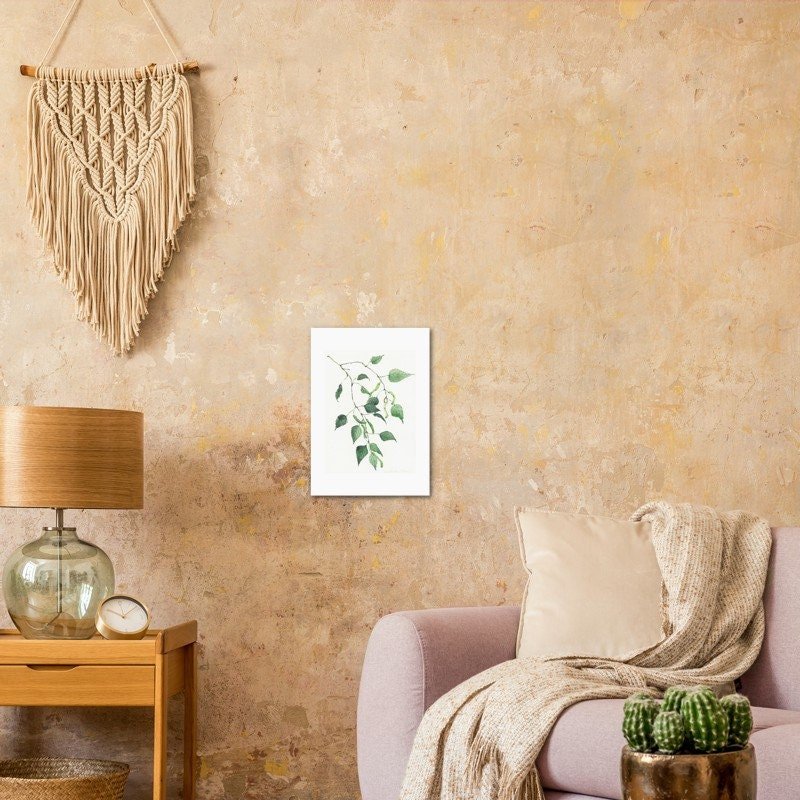 https://i.etsystatic.com/20501688/r/il/460cb0/3490530643/il_fullxfull.3490530643_6xpf.jpg