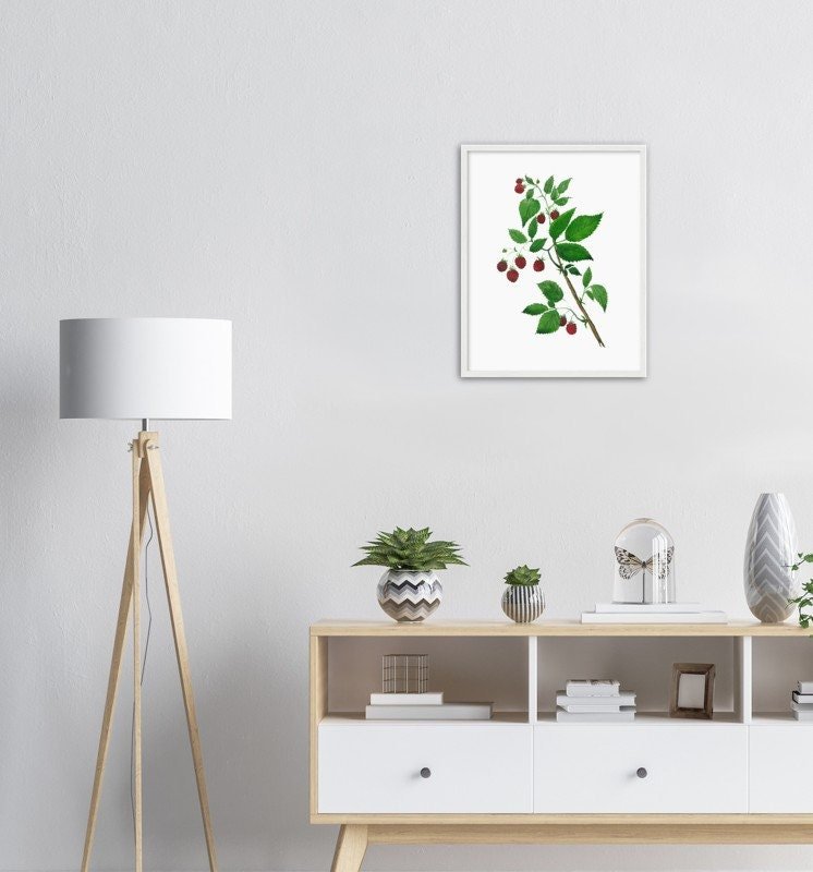 https://i.etsystatic.com/20501688/r/il/b37bfc/4087756865/il_fullxfull.4087756865_14fg.jpg