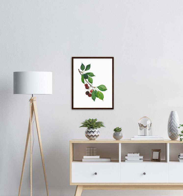 https://i.etsystatic.com/20501688/r/il/bfd172/3484954378/il_fullxfull.3484954378_ai8f.jpg