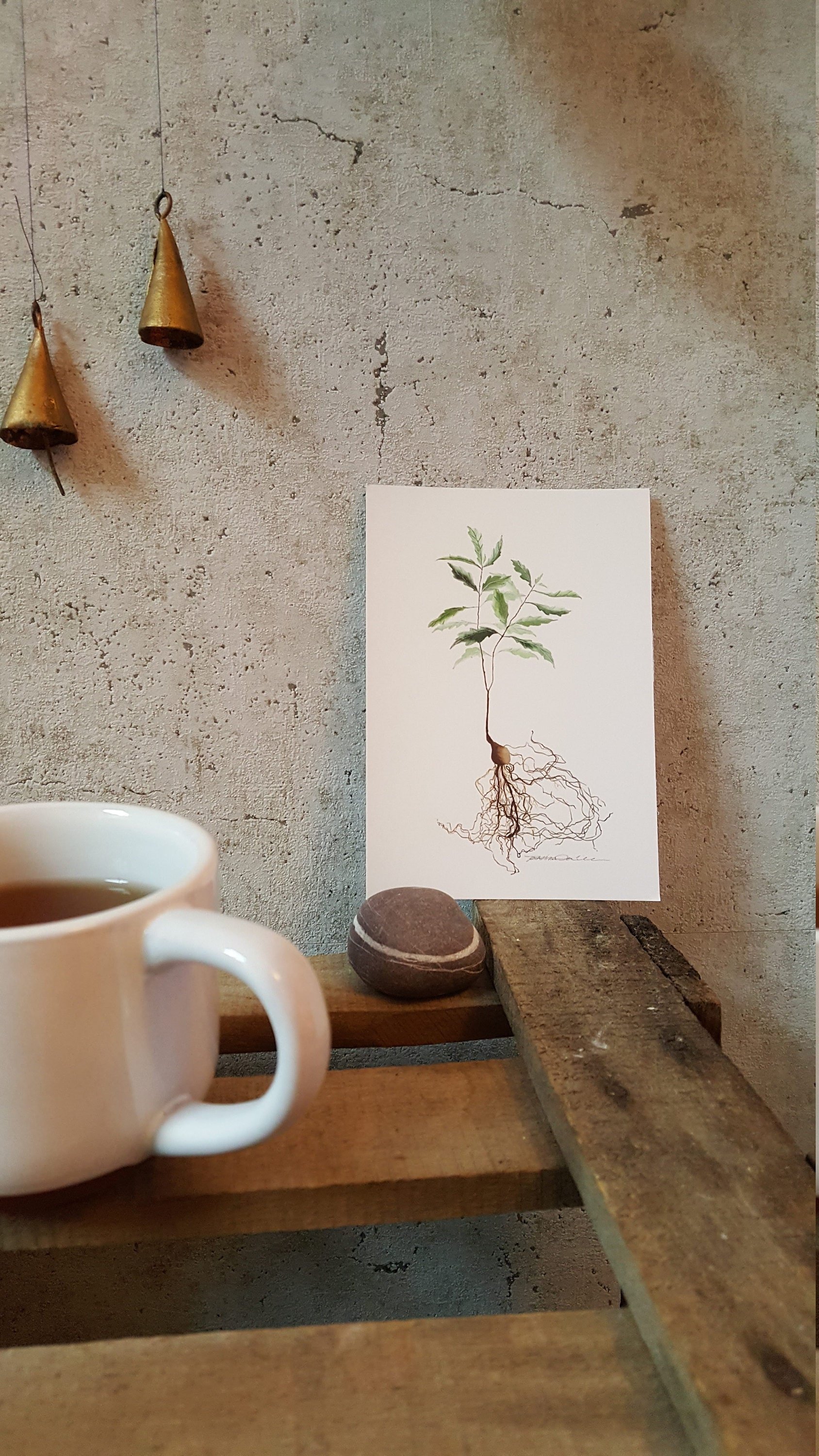 https://i.etsystatic.com/20501688/r/il/9b718f/2117242200/il_fullxfull.2117242200_f8it.jpg