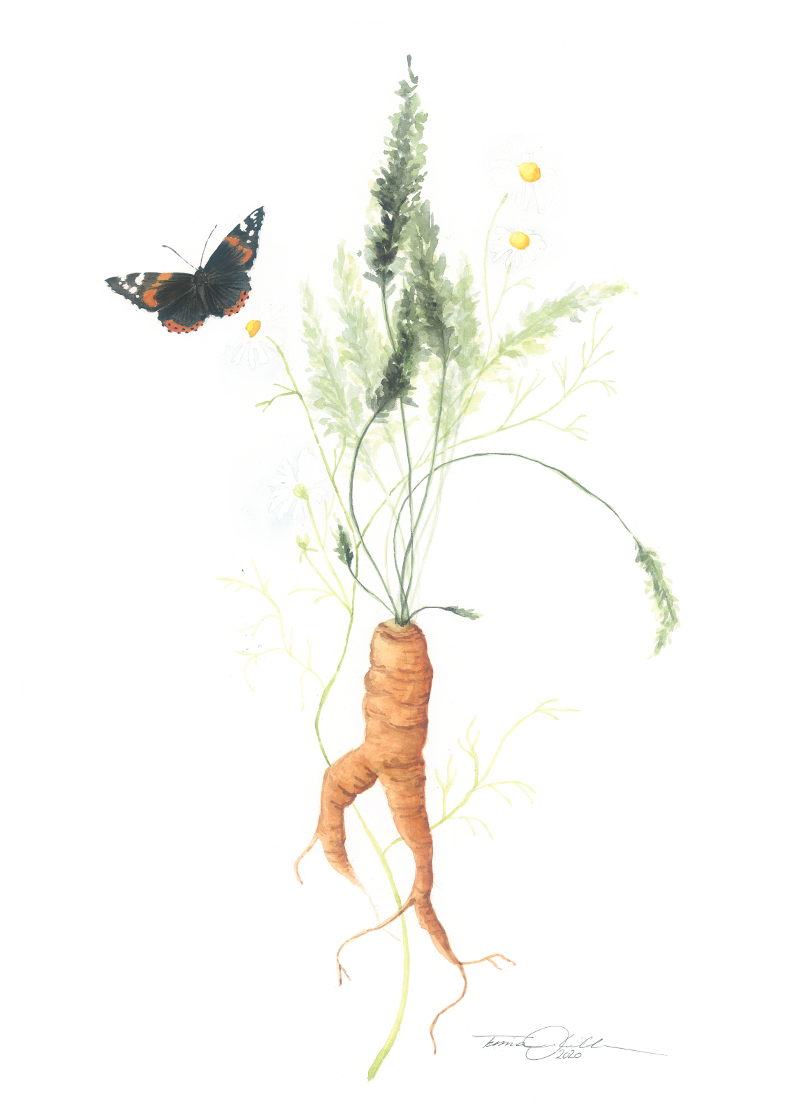201222_carrot_retuschiert.png