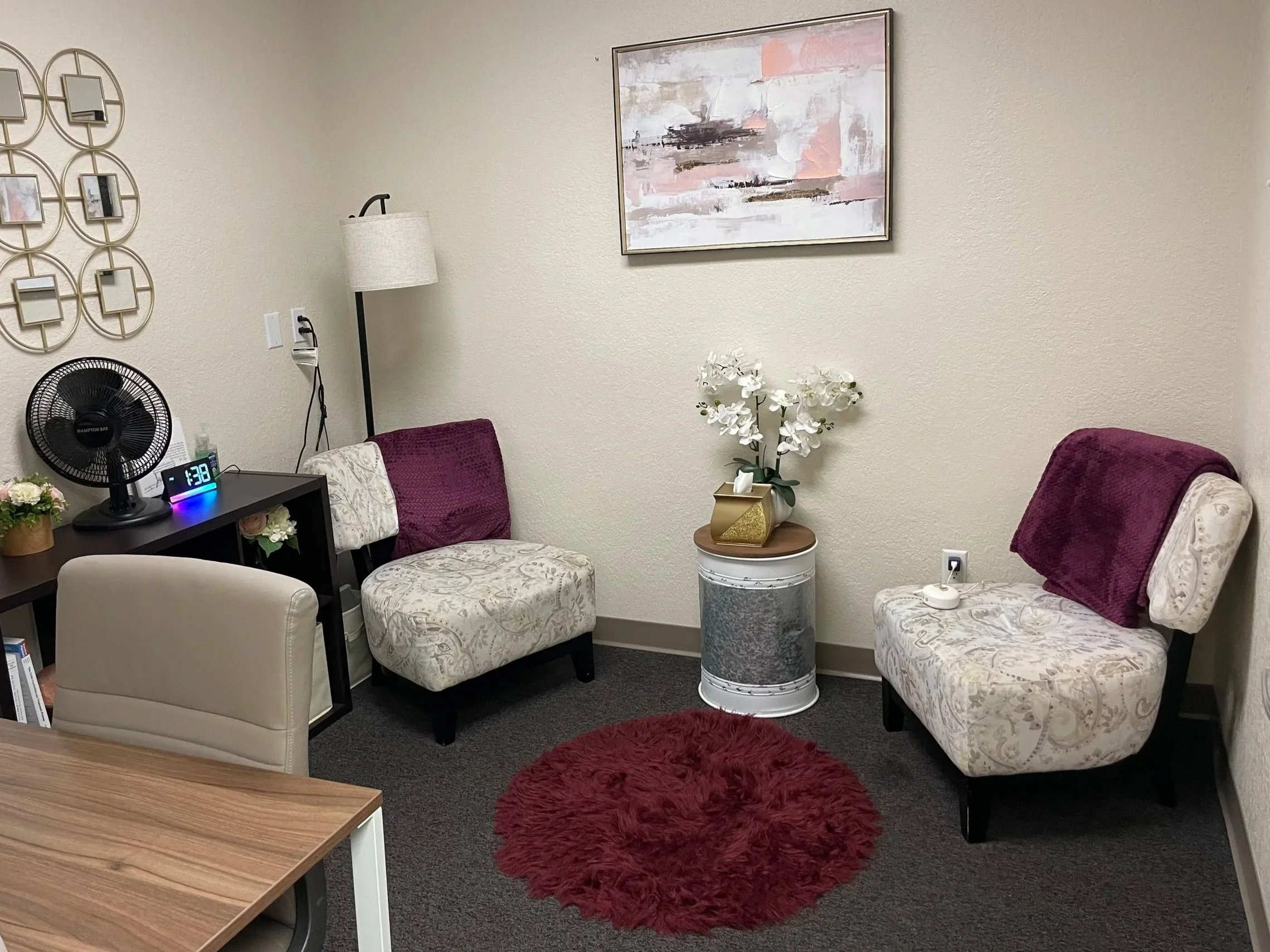 Comfortable counseling room with patterned accent chairs and a plush rug at Dandelion Therapy Group in Port Charlotte, Florida.