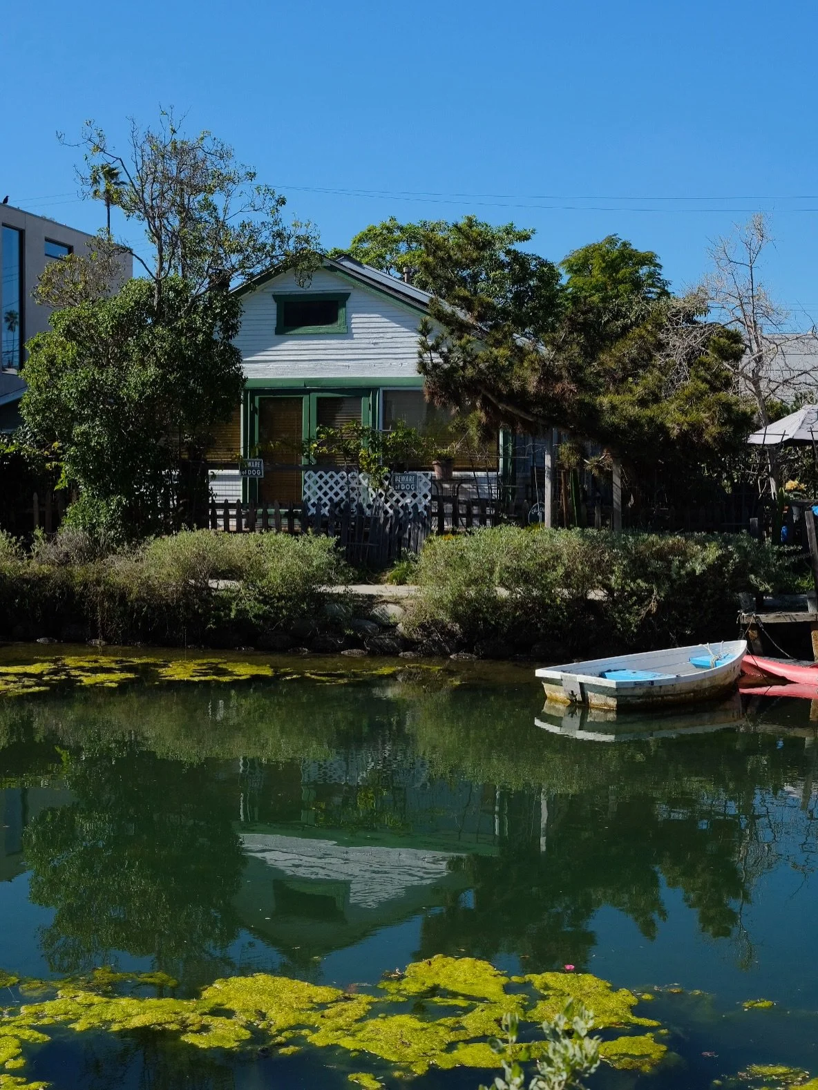 Today&rsquo;s vibes ⭐️🥭🦆🛶🍸🪷🪼