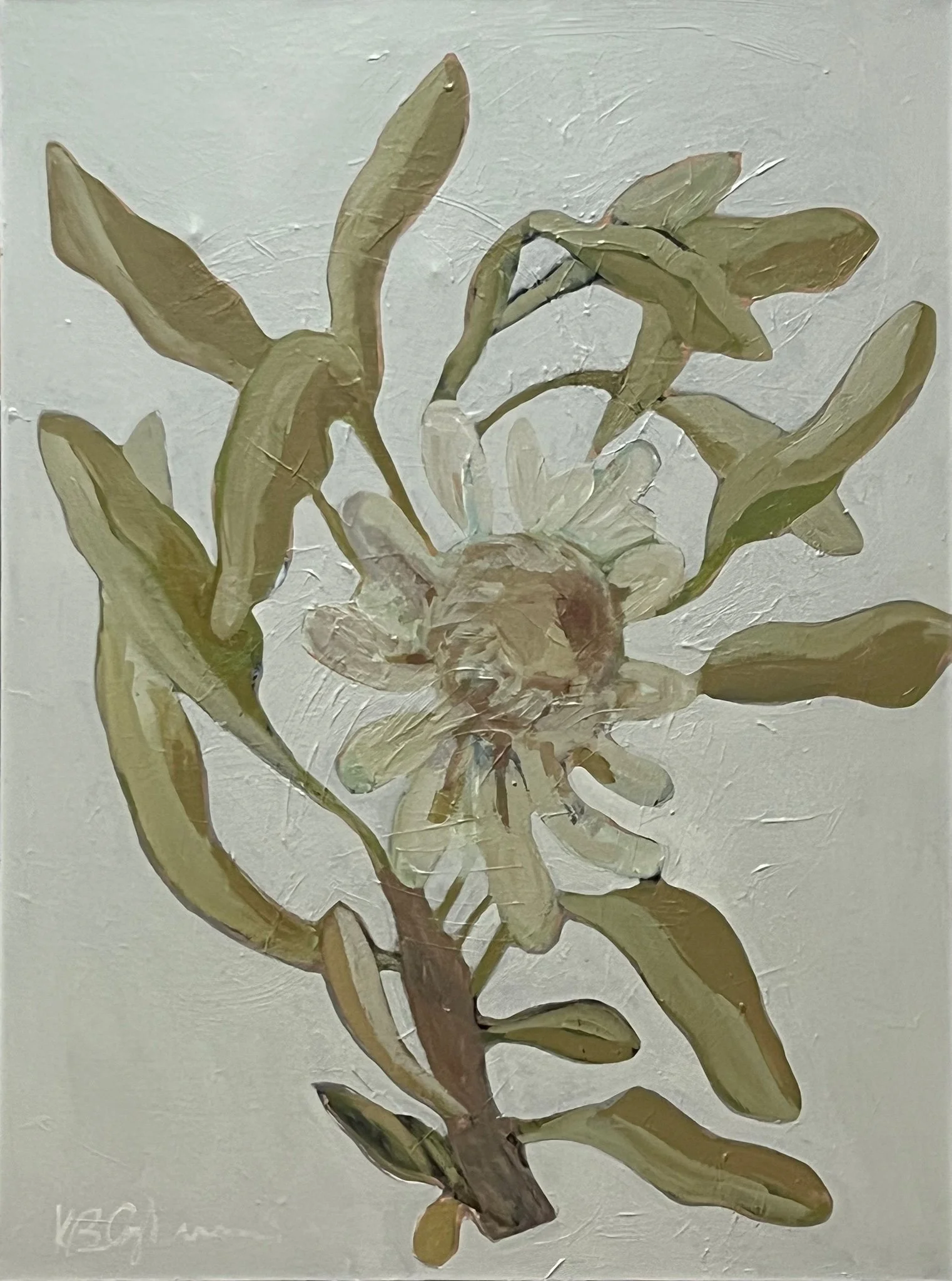 Botanica No. 44