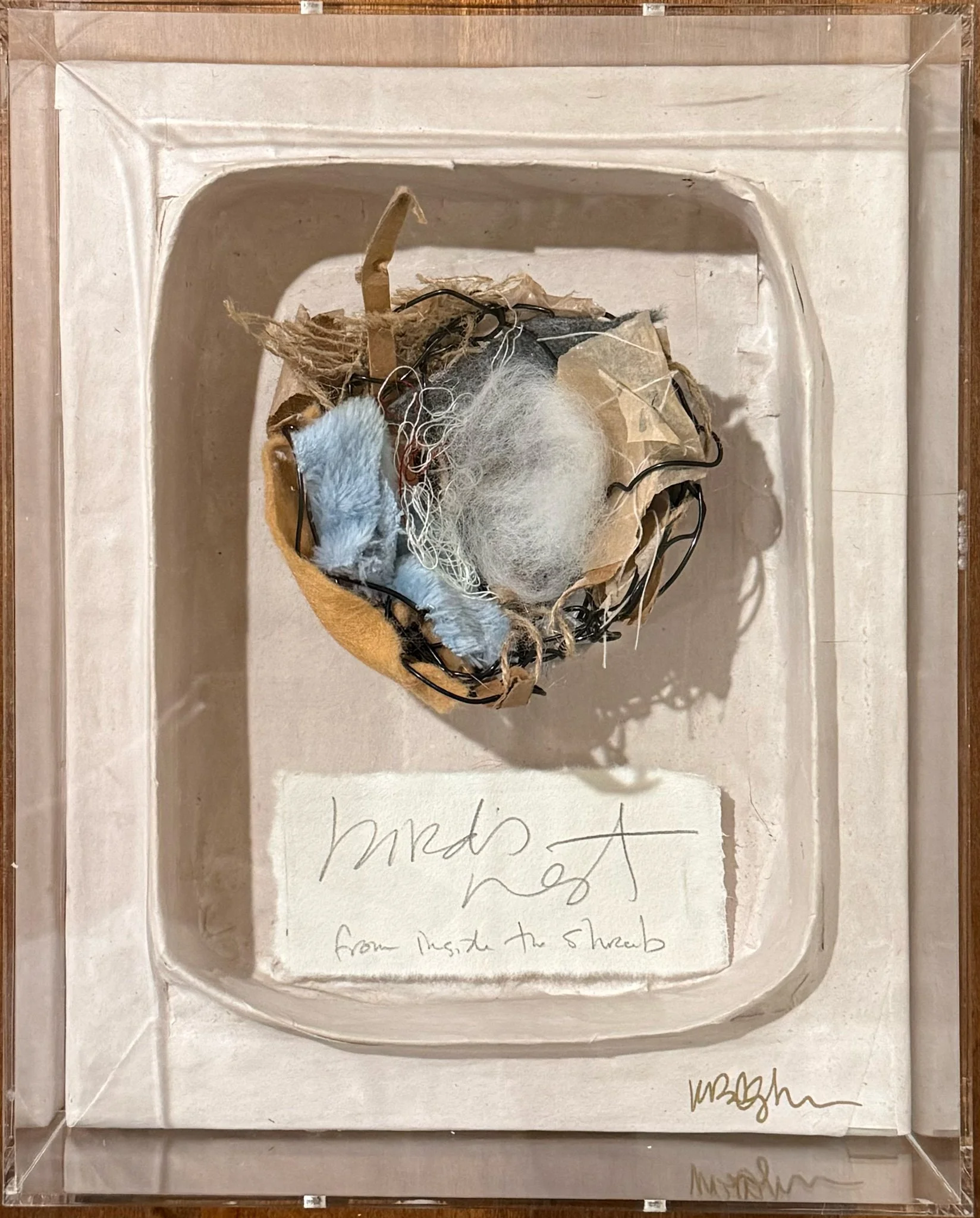 Bird's Nest: from inside the shrub.