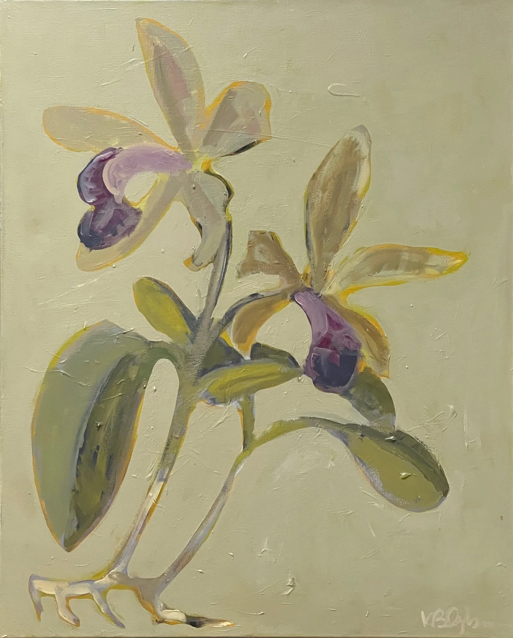 Botanica No.46