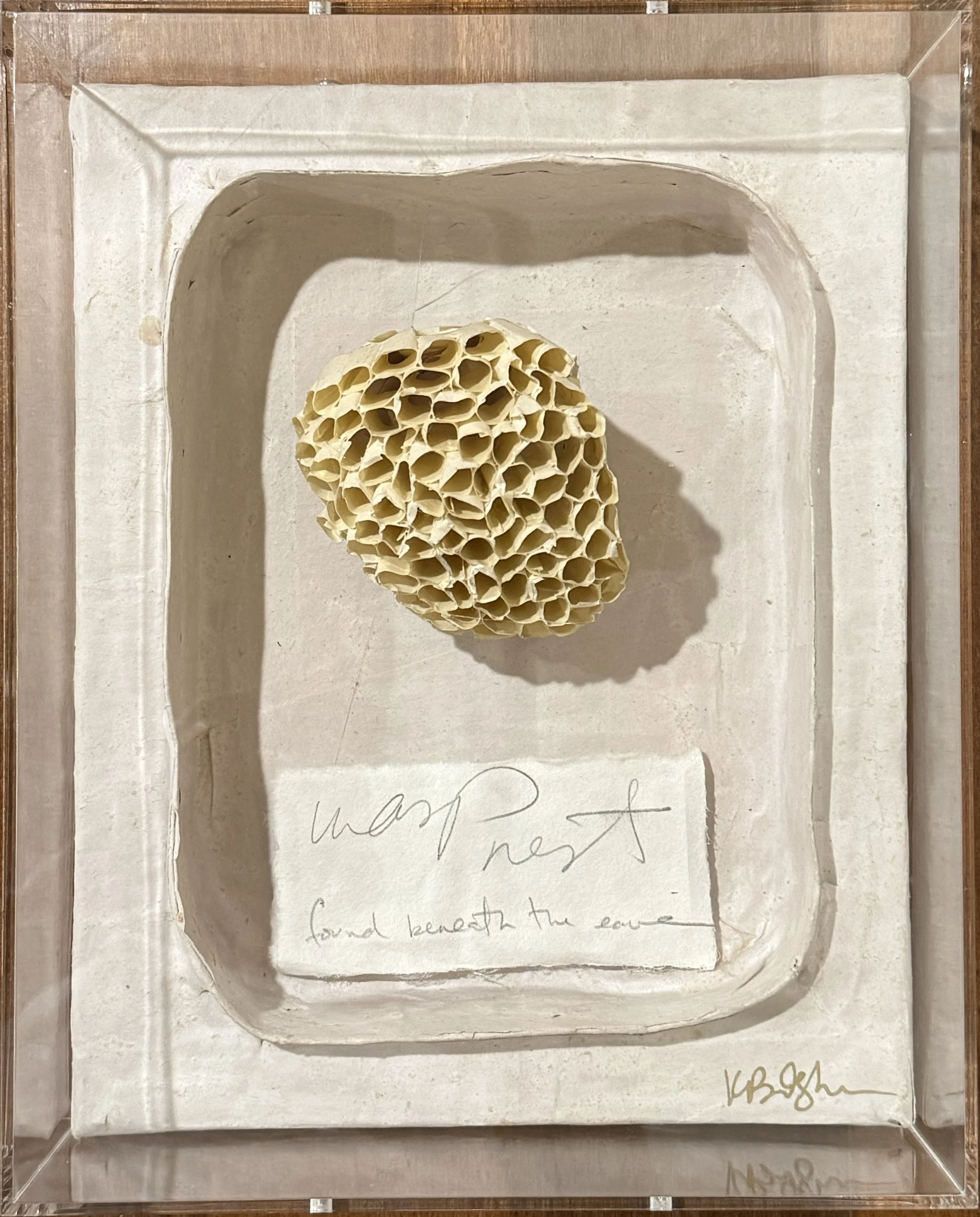 Wasp Nest: from under the eave