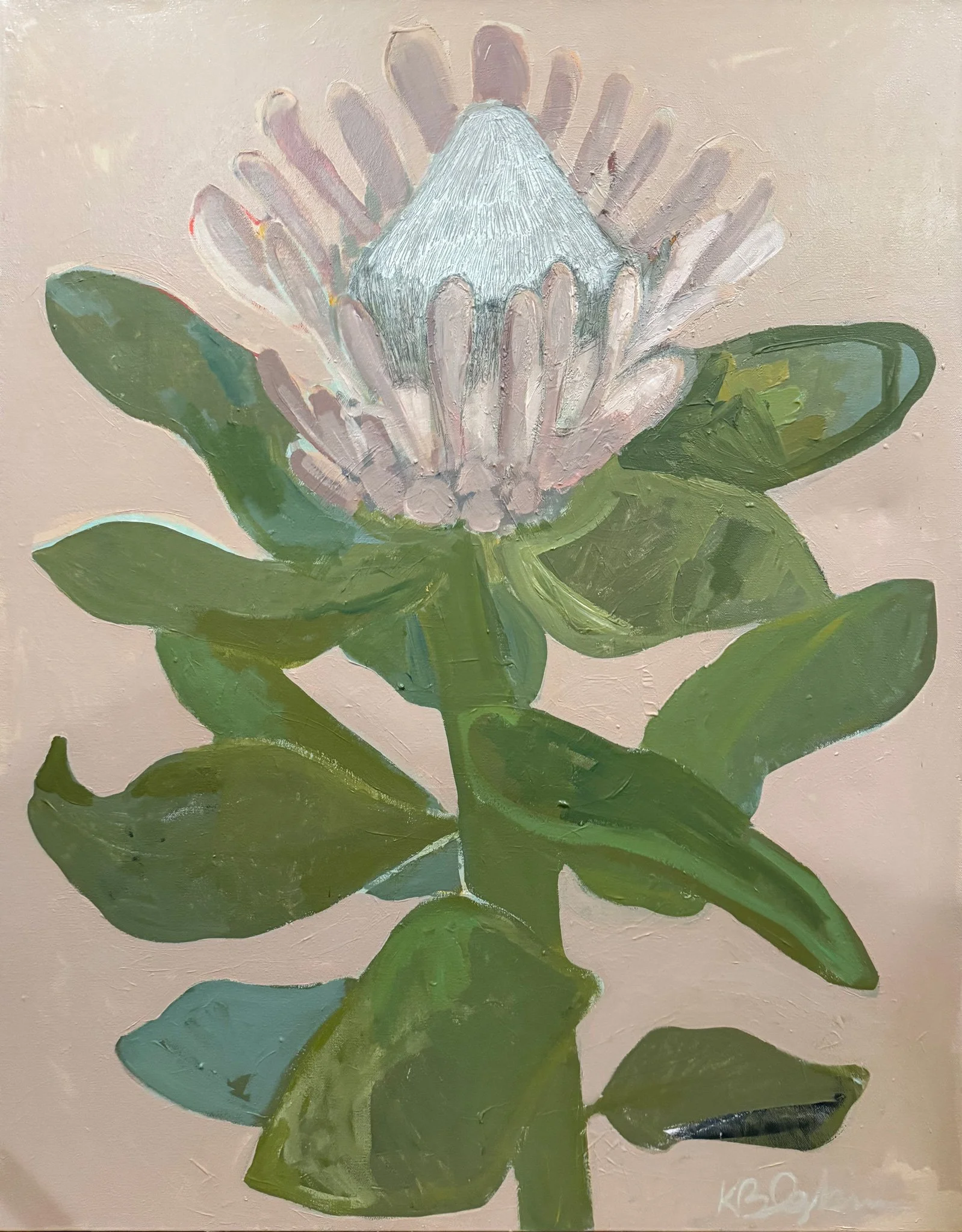 Botanica No.37