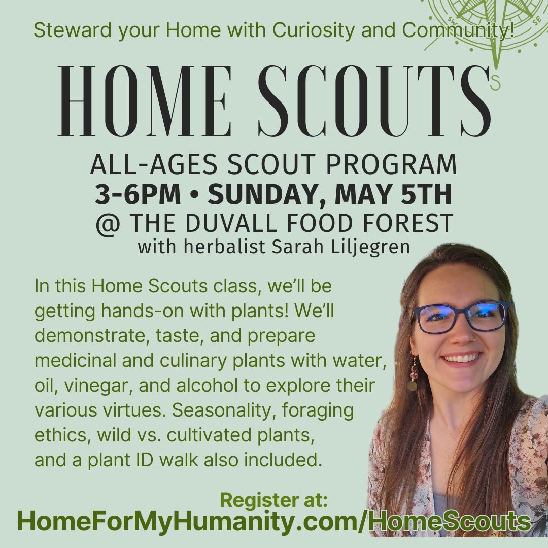 This Sunday at the Duvall Food Forest 🌳❤

Join me and other plant lovers to taste, forage, prepare, and learn about preparing medicine and food with plants! 🌱🌿

#duvallfoodforest #duvallwa #duvall #homemade #homescouts #communityclass #allagesscou