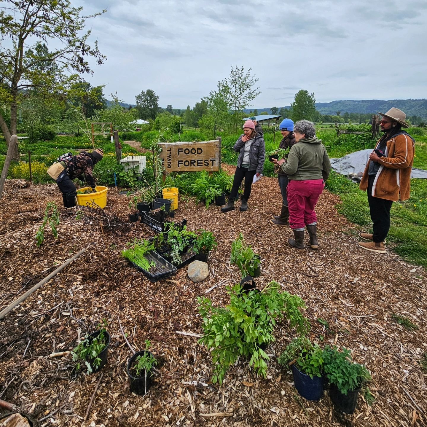 This weekend was an amazing land stewardship training with horticulturist, herbalist, and garden coach @tending.alive ⭐️⭐️⭐️⭐️⭐️

We studied FOOD - planted, designed, walked, weeded, tasted, and played with our nutrition and medicine at the @theduval