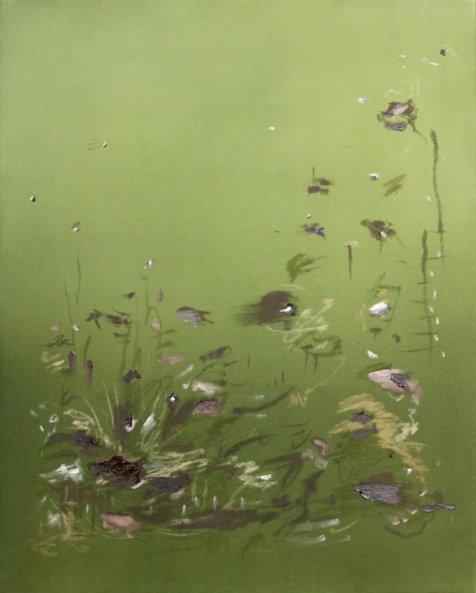 SNAKE IN THE GRASS, 24x30 inches, acrylic and pastel on raw canvas 