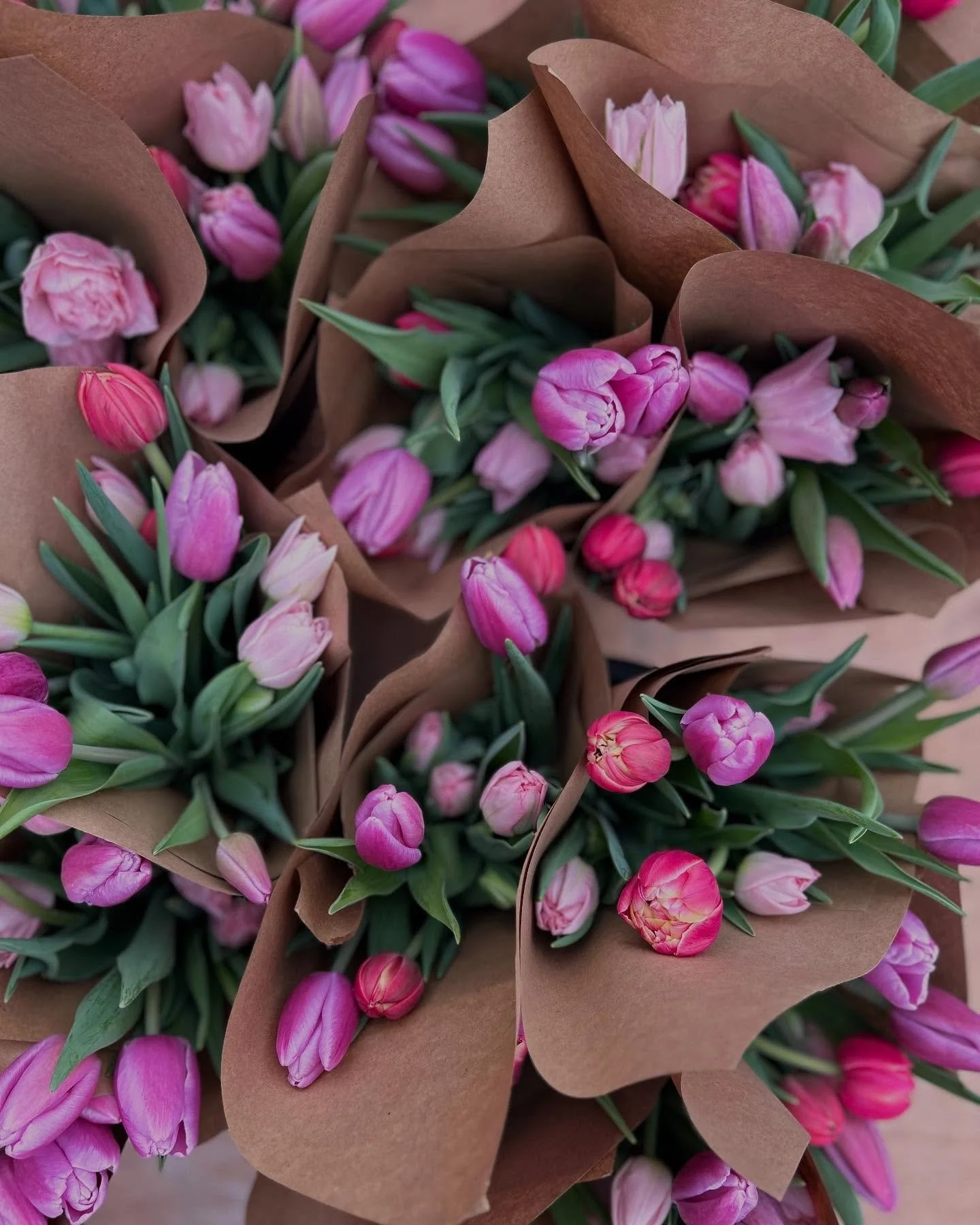 🎉Hey there, #monadnockregion Local flowers are BACK!  We did our first flower drop of the year to @monadnockcoop this afternoon!  These multicolored specialty tulip bunches are waiting to go home with you and add a spark of joy to your weekend! 💜🩷