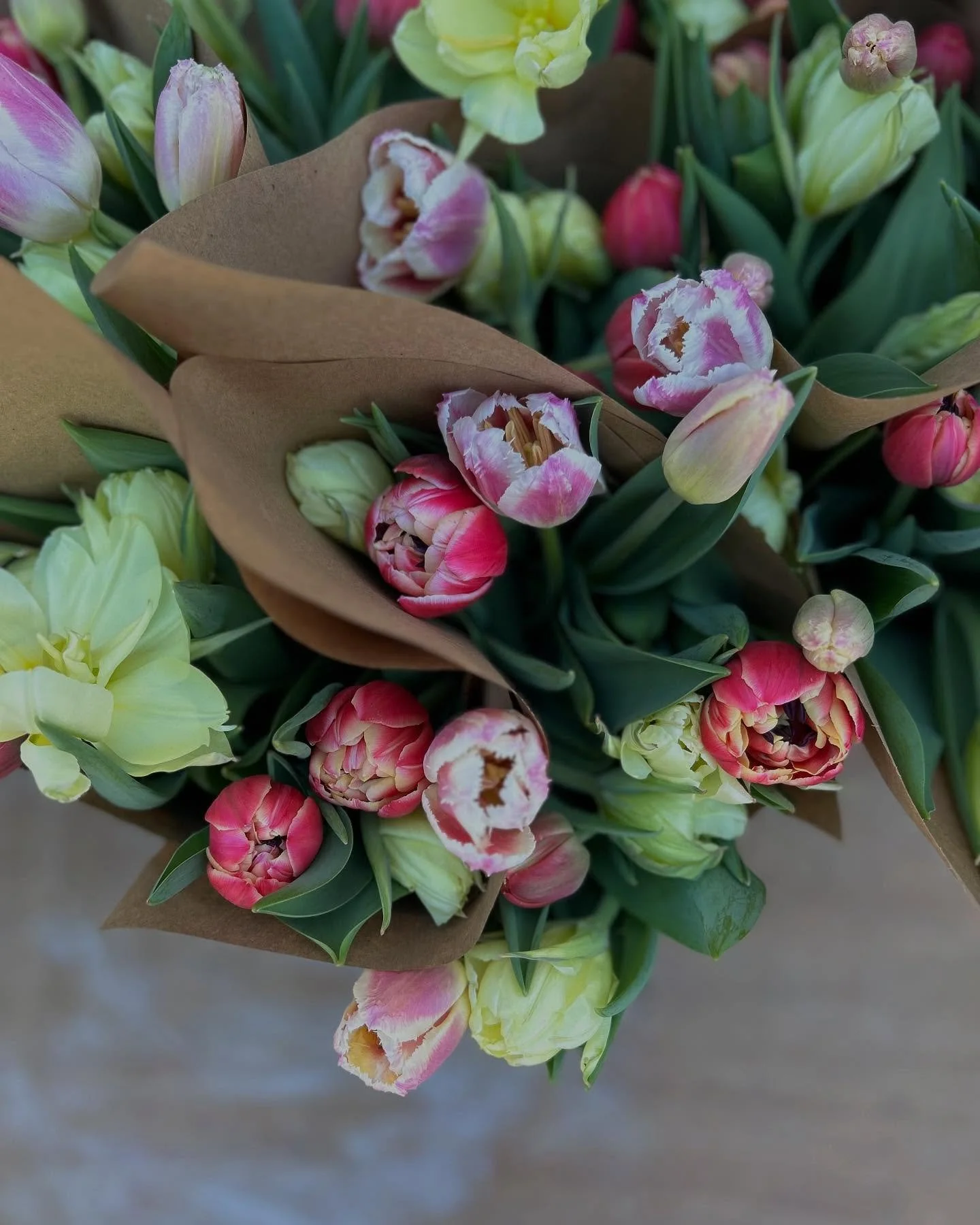 It&rsquo;s week 2 of Tulip CSA!  A new mix of gorgeous varieties all wrapped up for our members to brighten their week! 🤩
.
.
.
#tulipcsa #tulips #flowerfarm #nhgrown #monadnockregion #locallygrownflowers #flowers #flowerfarmer