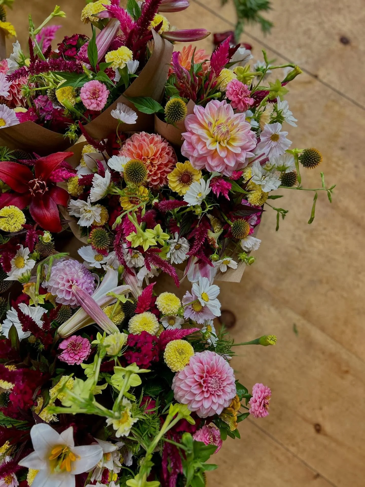 And just like that, we reach the finale of our Summer Bouquet CSA.  10 weeks of local, seasonal, sustainably grown cut flowers for a group of wonderful people who invest in our business and we repay them in flowers.  Thanks for taking the floral jour