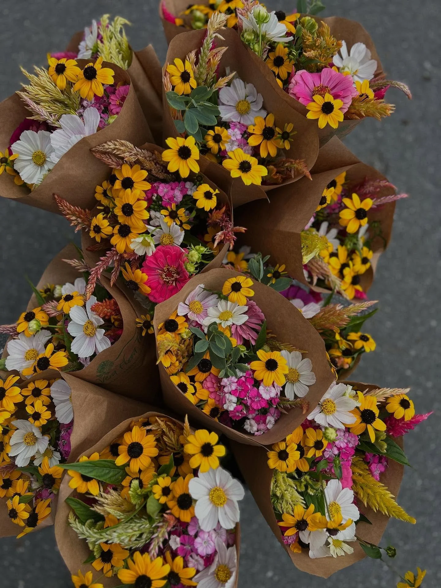 Did you miss us??? After a hiatus during the hot, busy months of July and August, we are BACK with our seasonal bouquets @monadnockcoop It felt so good to walk into the back door of the Produce department with bucketloads of bright bouquets!  Perfect