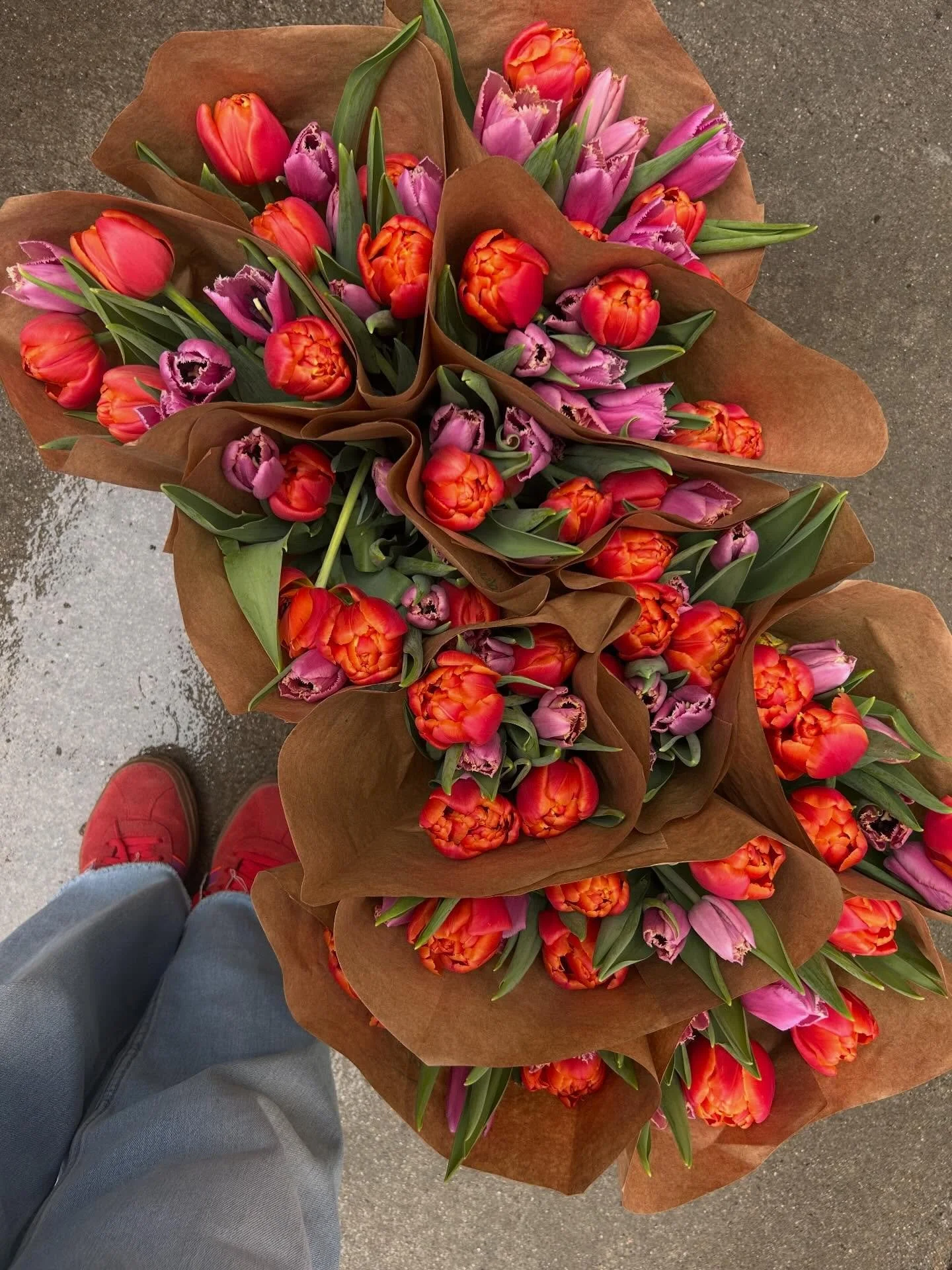 We made a large drop of colorful tulips to the @monadnockcoop this morning, just in time to add some brightness to your Easter weekend!  Until the actual sun decides to show its face, we&rsquo;ve got you covered! 🌞🌷💚
.
.
#weloveourcommunity #local