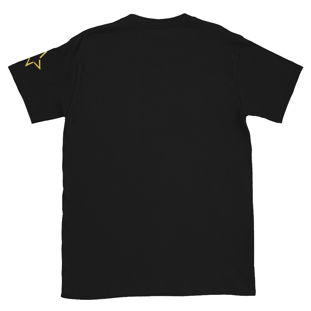 unisex-basic-softstyle-t-shirt-black-back-68cceb2ee100d.png