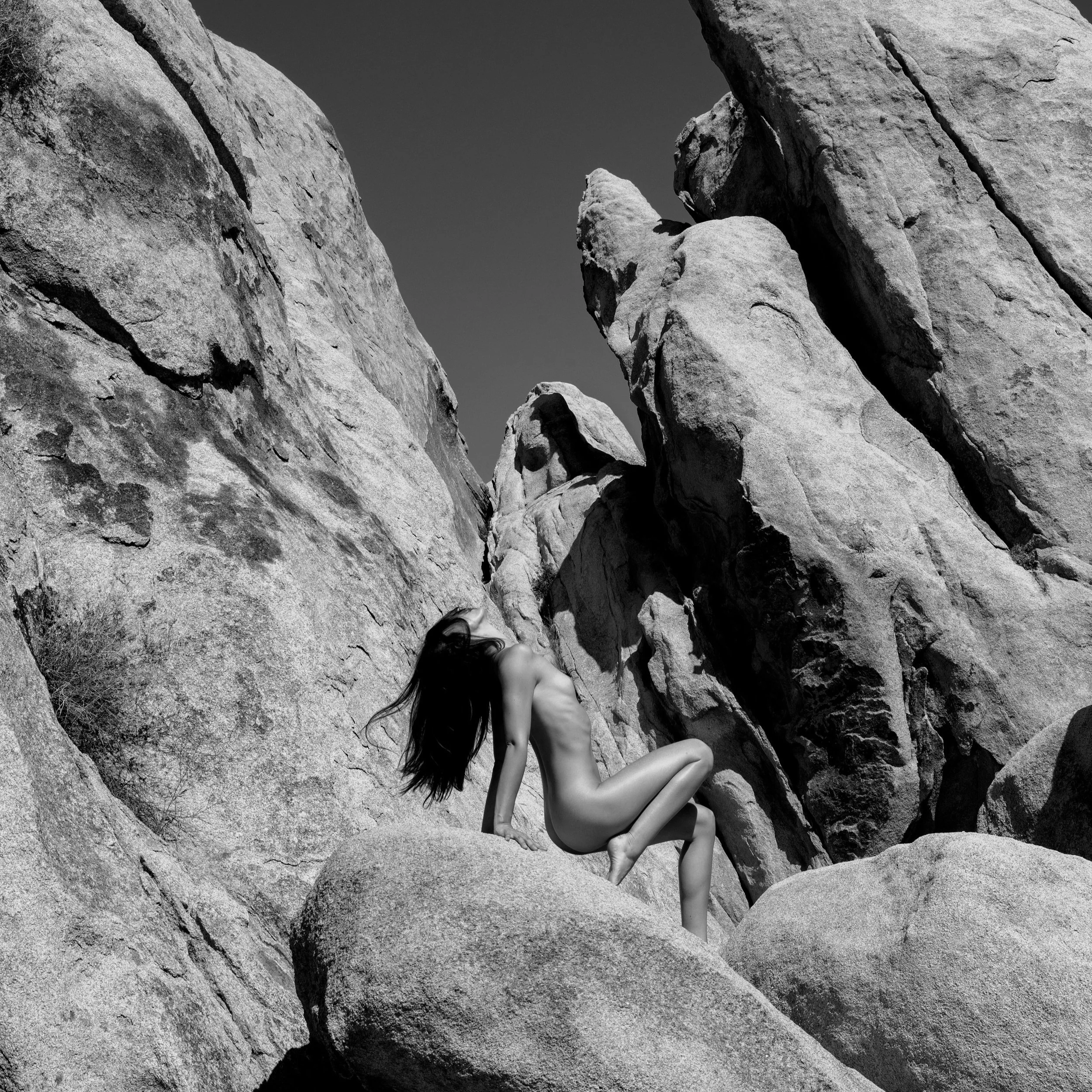 _DSC6113+dilz+bw.jpg