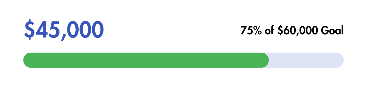 Progress bar showing $45,000 raised, 75% of $60,000 goal