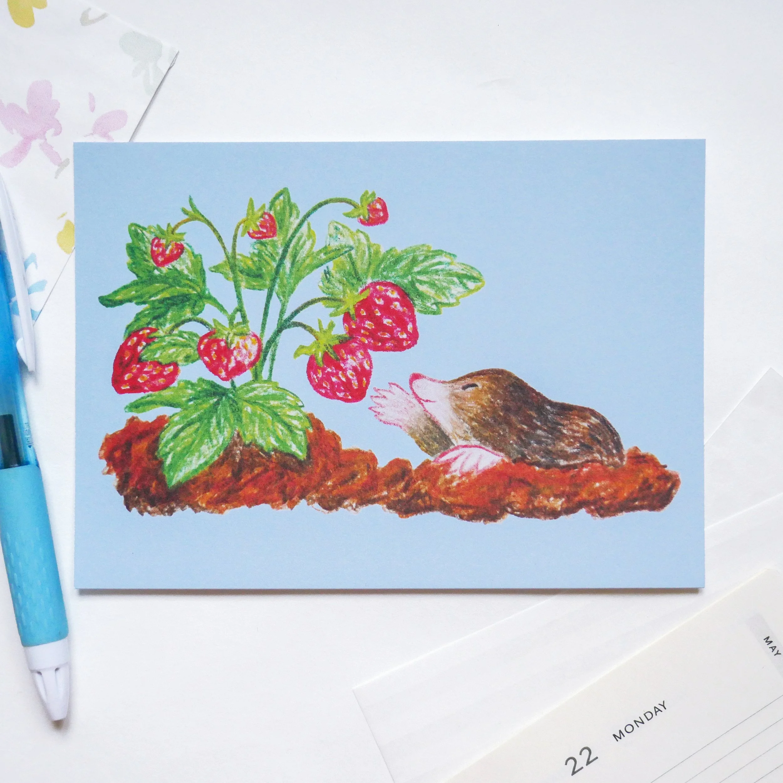 "Moleberry" postcard