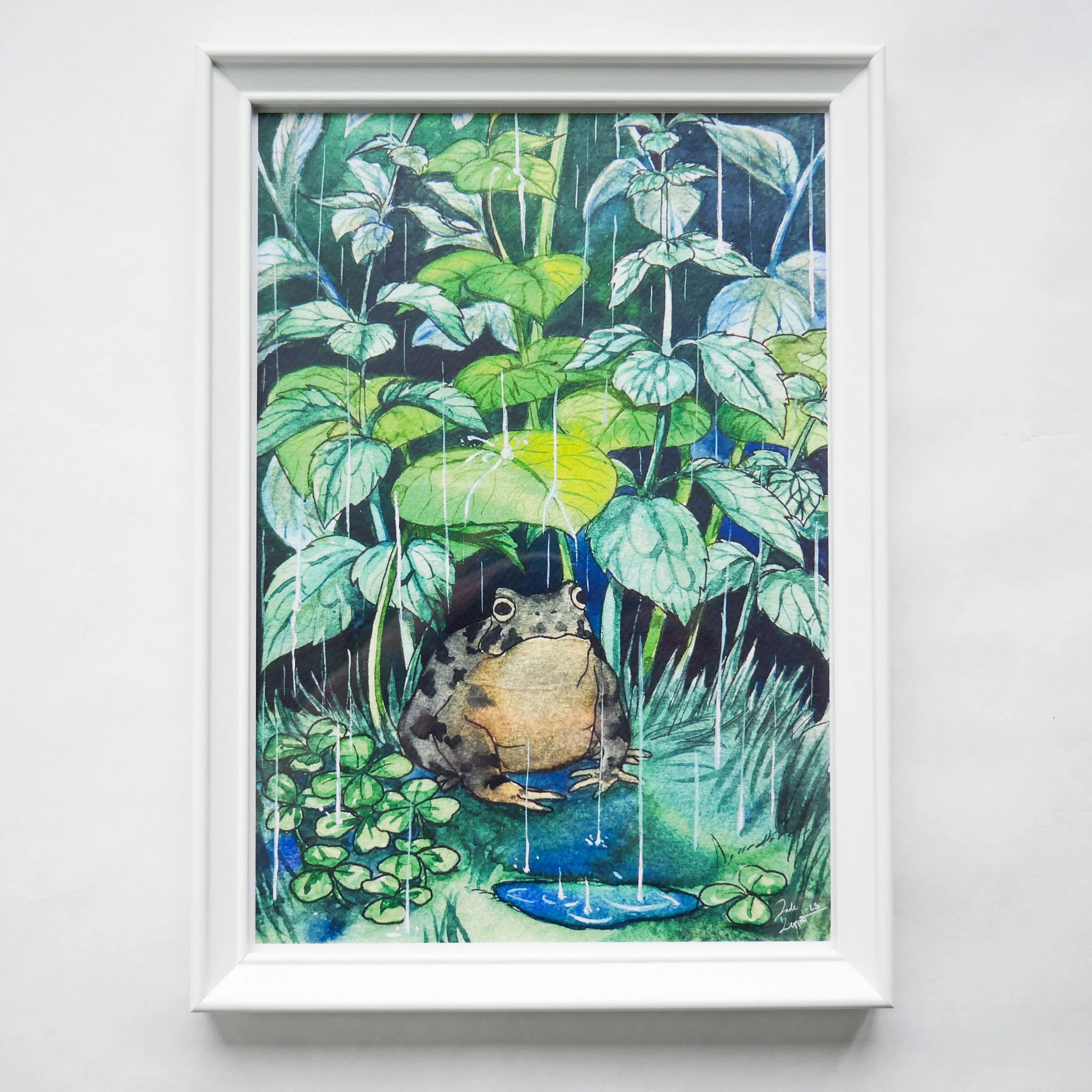 toadprint_framed.jpg