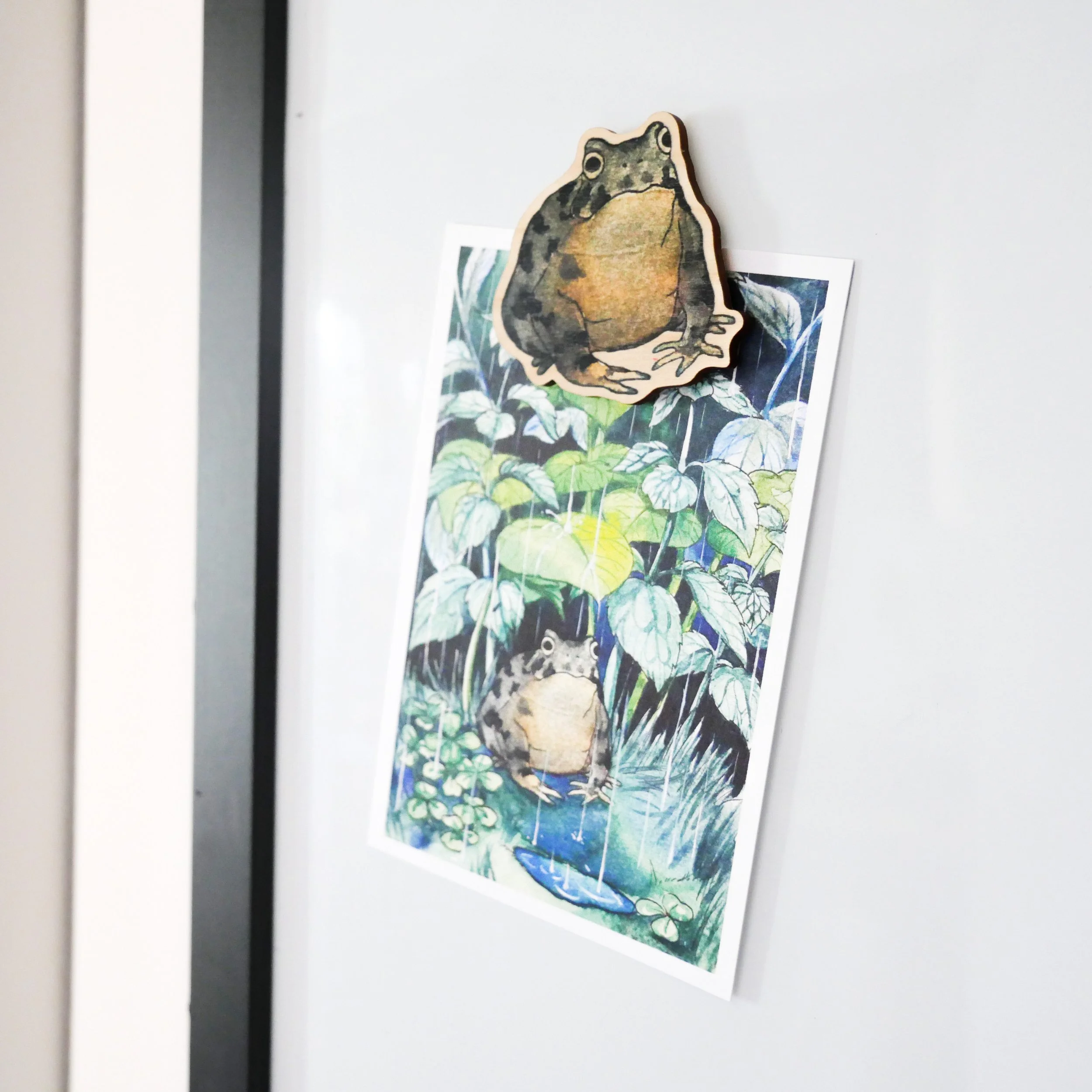 frogmagnetfridge.jpg