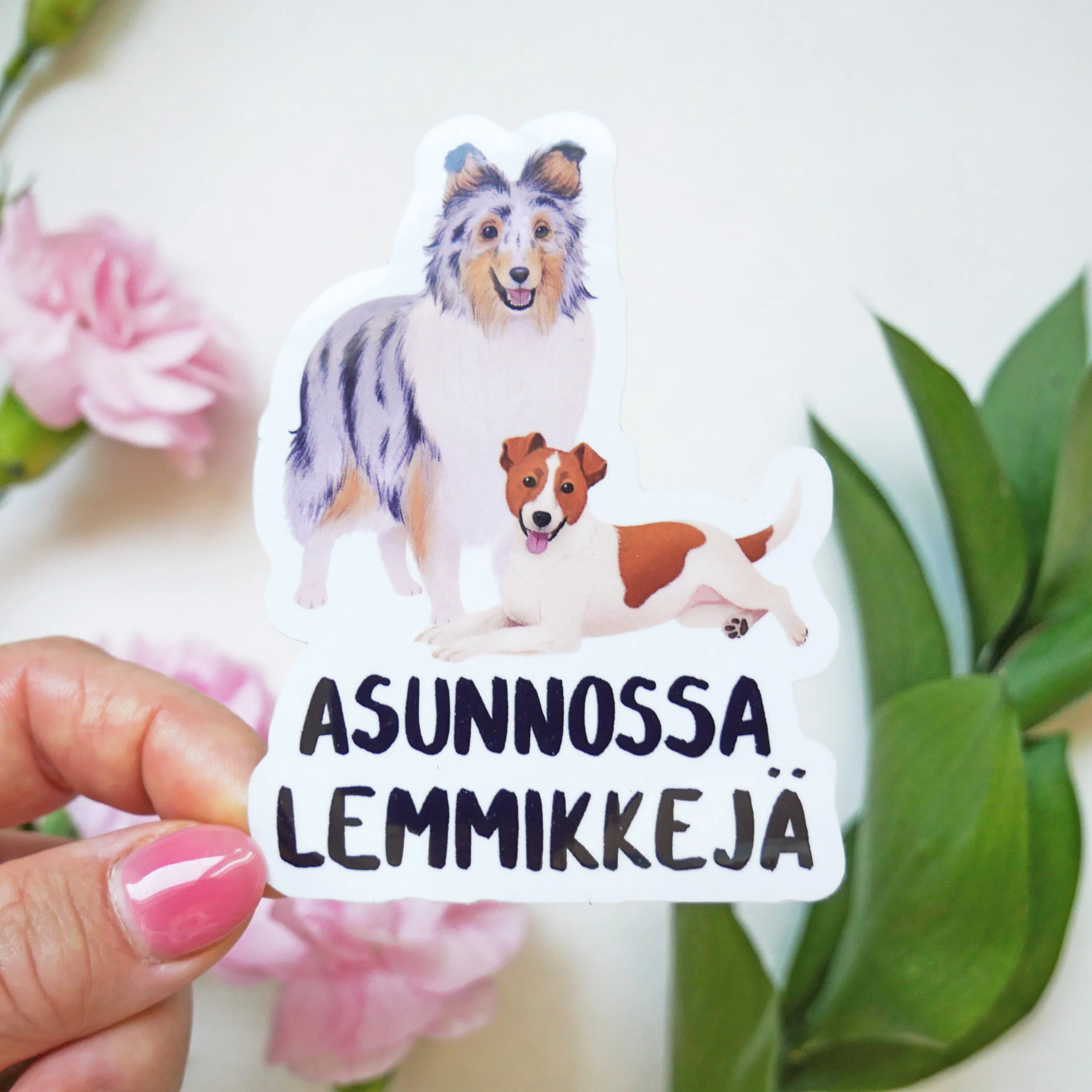 asunnossakoiriacloseup.jpg